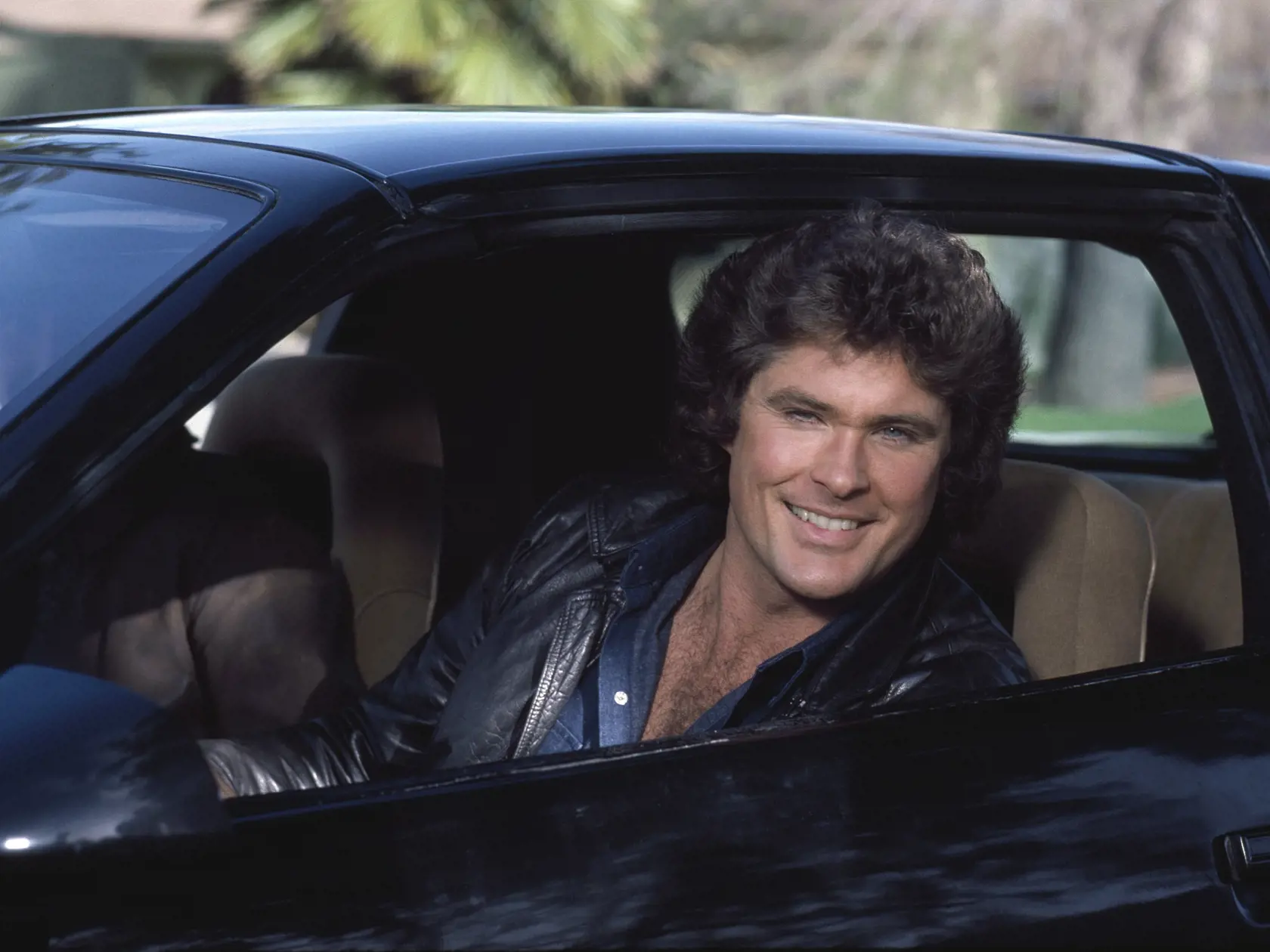David Hasselhoff