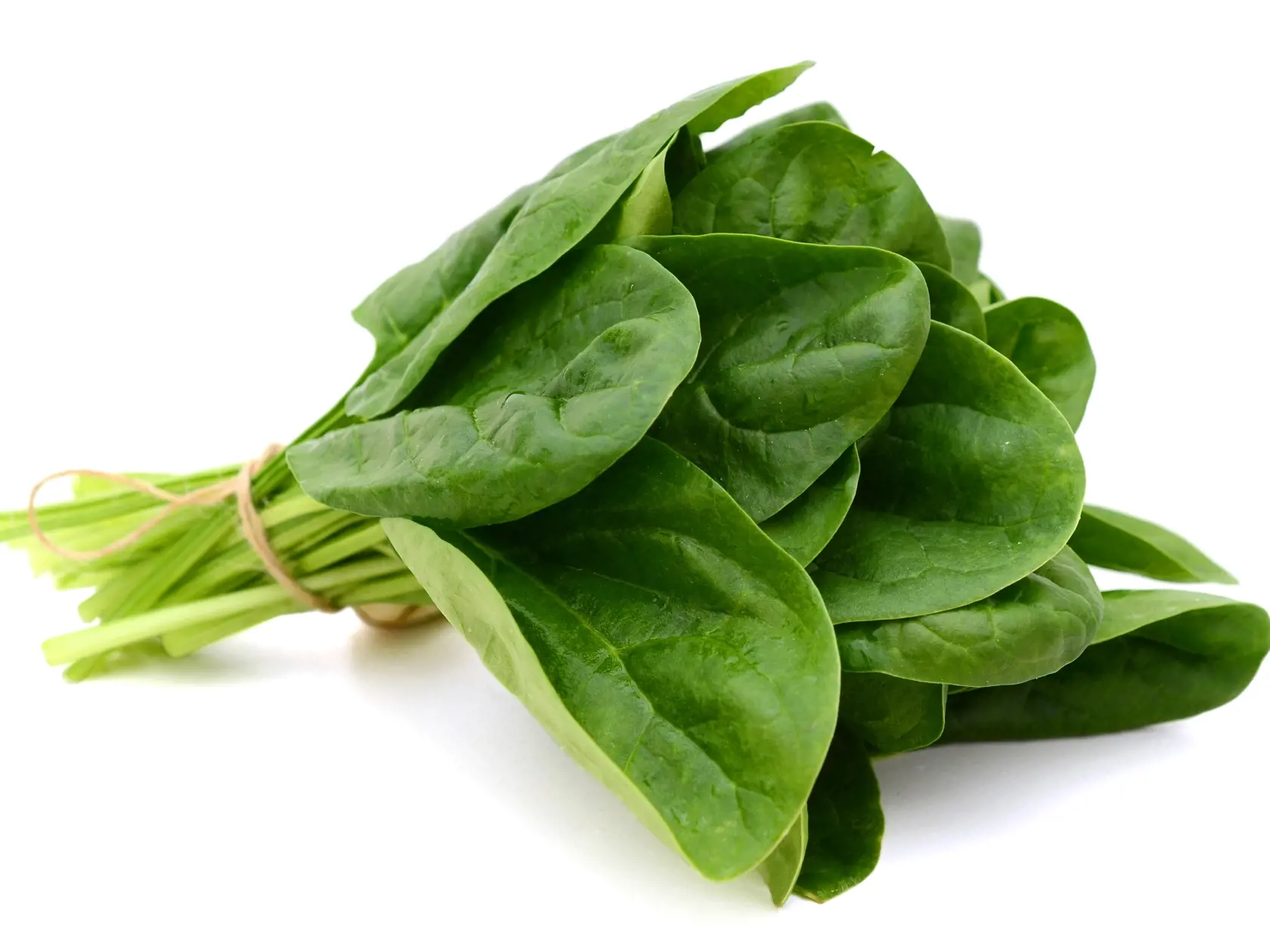 A,Bundle,Of,Fresh,Spinach,On,White,Background