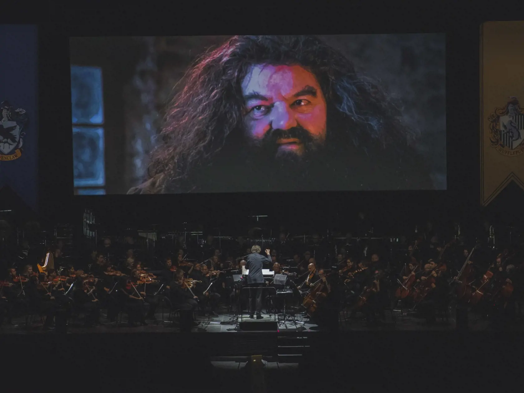 Kinokoncert Harry Potter a Kameň mudrcov v Bratislave.