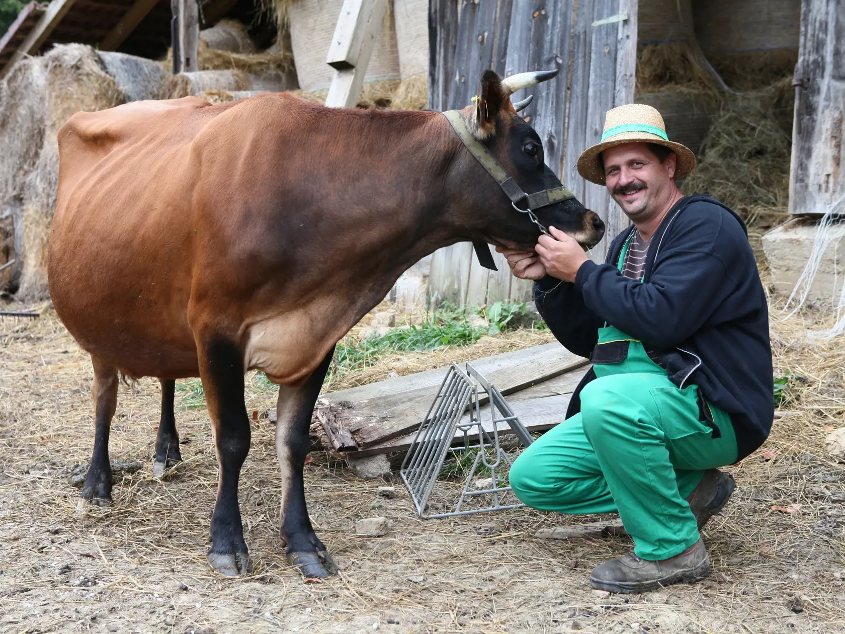 FARMAR Mato Bagar, farma etelka
