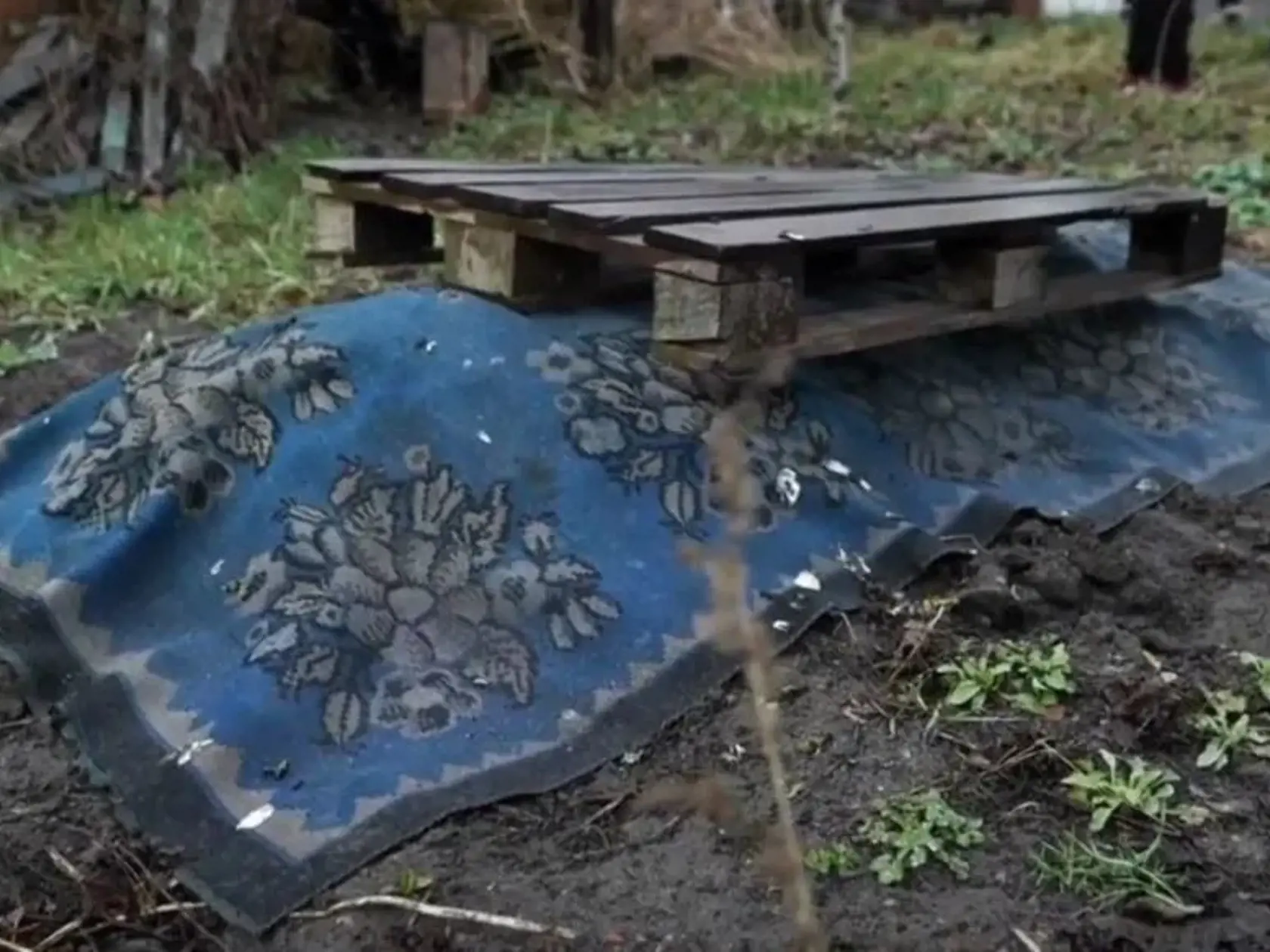 Hrob 27-ročného Olekseja Kostenka jeho matka prikryla dekou a zaťažila paletou, aby mŕtvolu jej syna nevyhrabli hladné divoké psy.