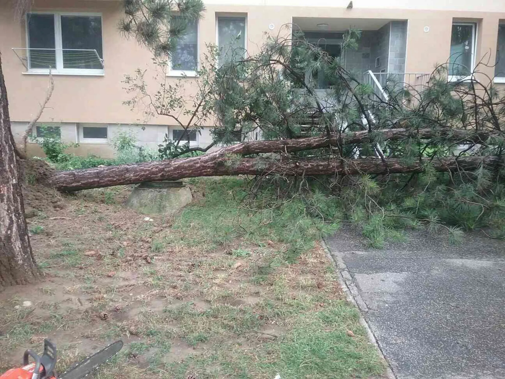 Následky búrky: Hasiči mali plné ruky práce, silný vietor skolil aj stromy.