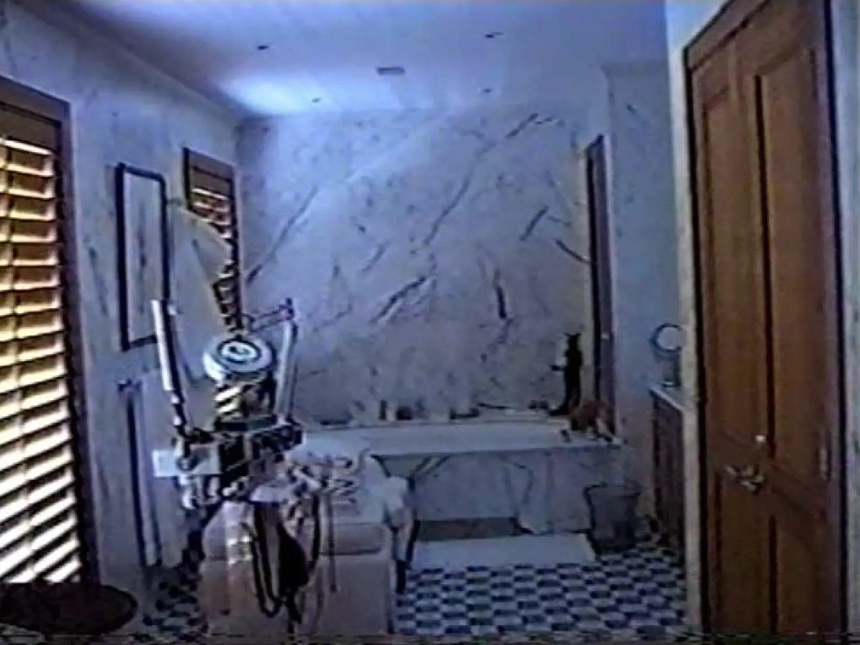 Fotografie z razie, ktorá prebehla v roku 2005 v Epsteinovom luxusnom sídle.