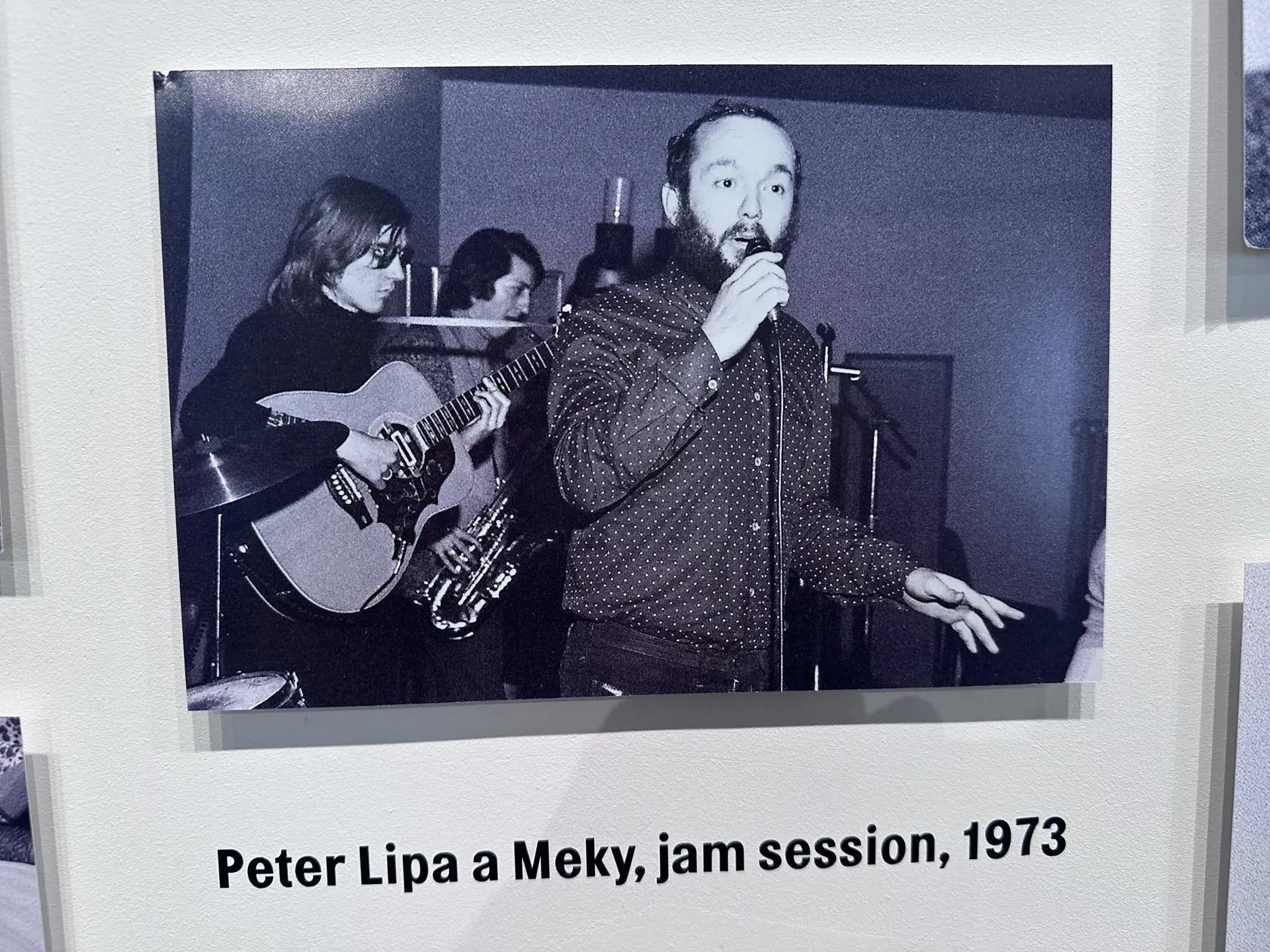 Meky hrajúci na gitare doprevádza speváka Petra Lipu.