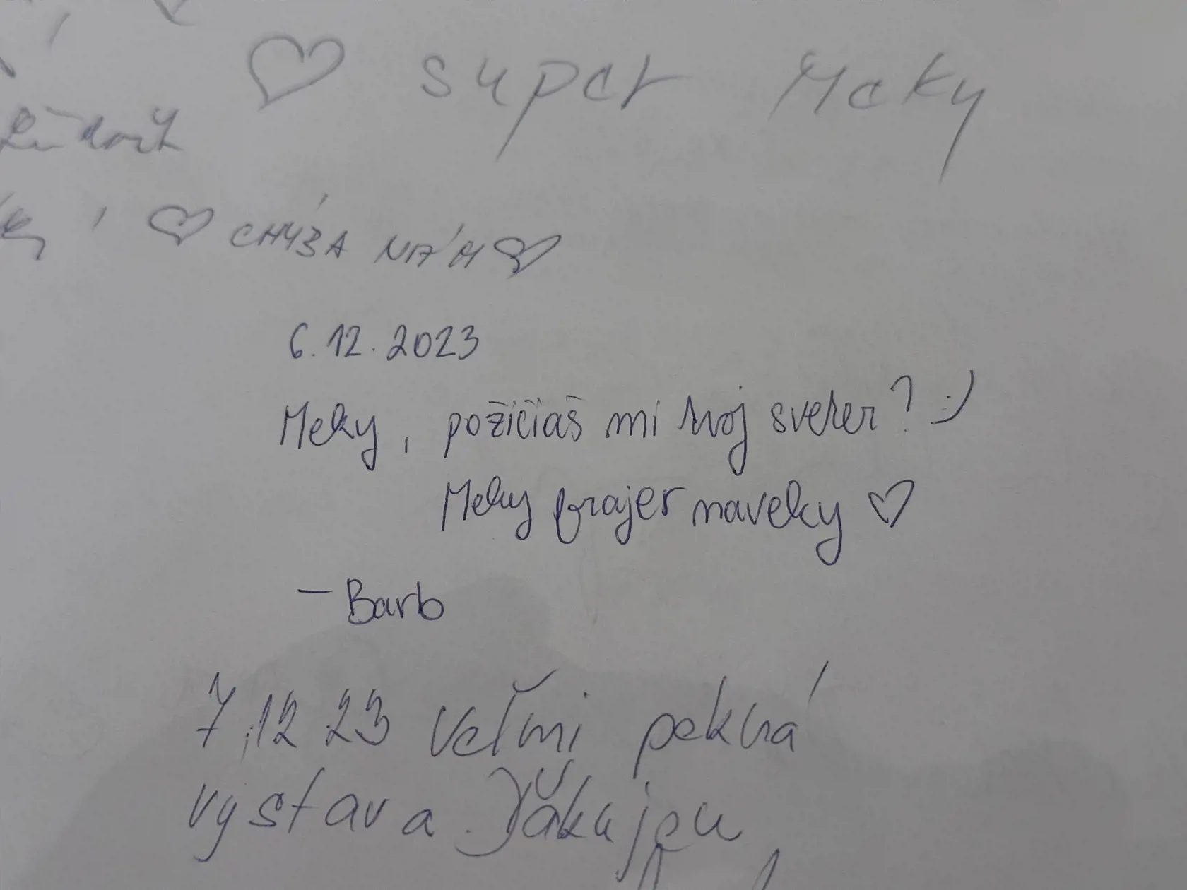 Odkazy návštevníkov výstavy v Košiciach pre Mekyho v kronike.