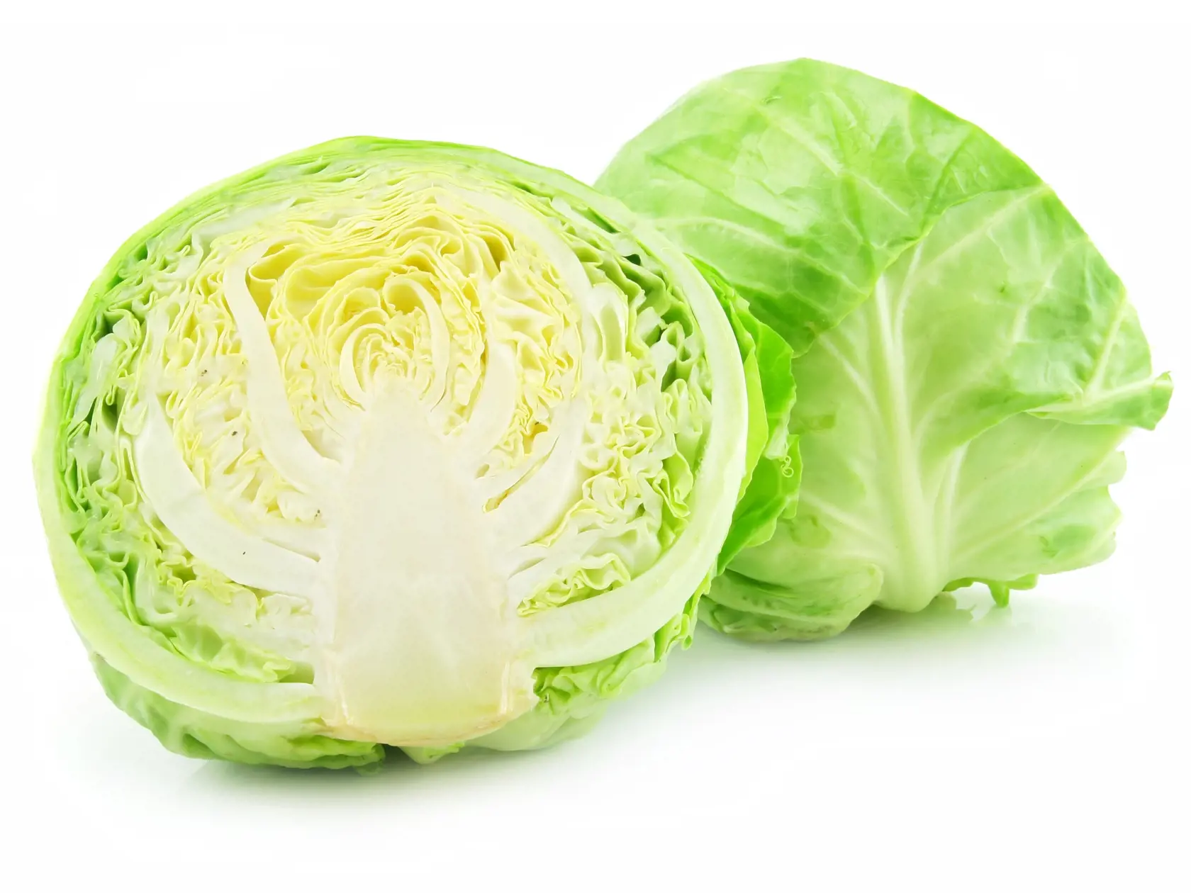 kapusta