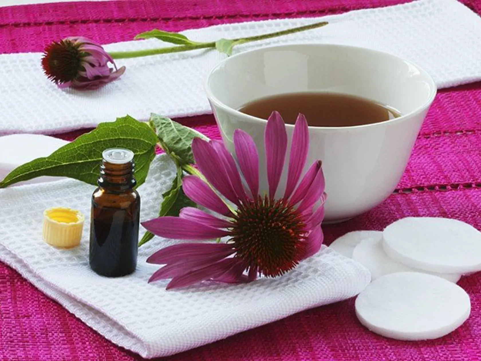 Na imunitu pomôže aj extrakt z echinacey, no pozor na jeho užívanie. „Osvedčuje sa tiež užívanie extraktov z rastliny Echinacea purpurea (L.), ktorá priamo stimuluje imunitu. Nesmie sa však užívať dlhšie ako 14 dní, inak má opačný účinok,“ upozorňuje.