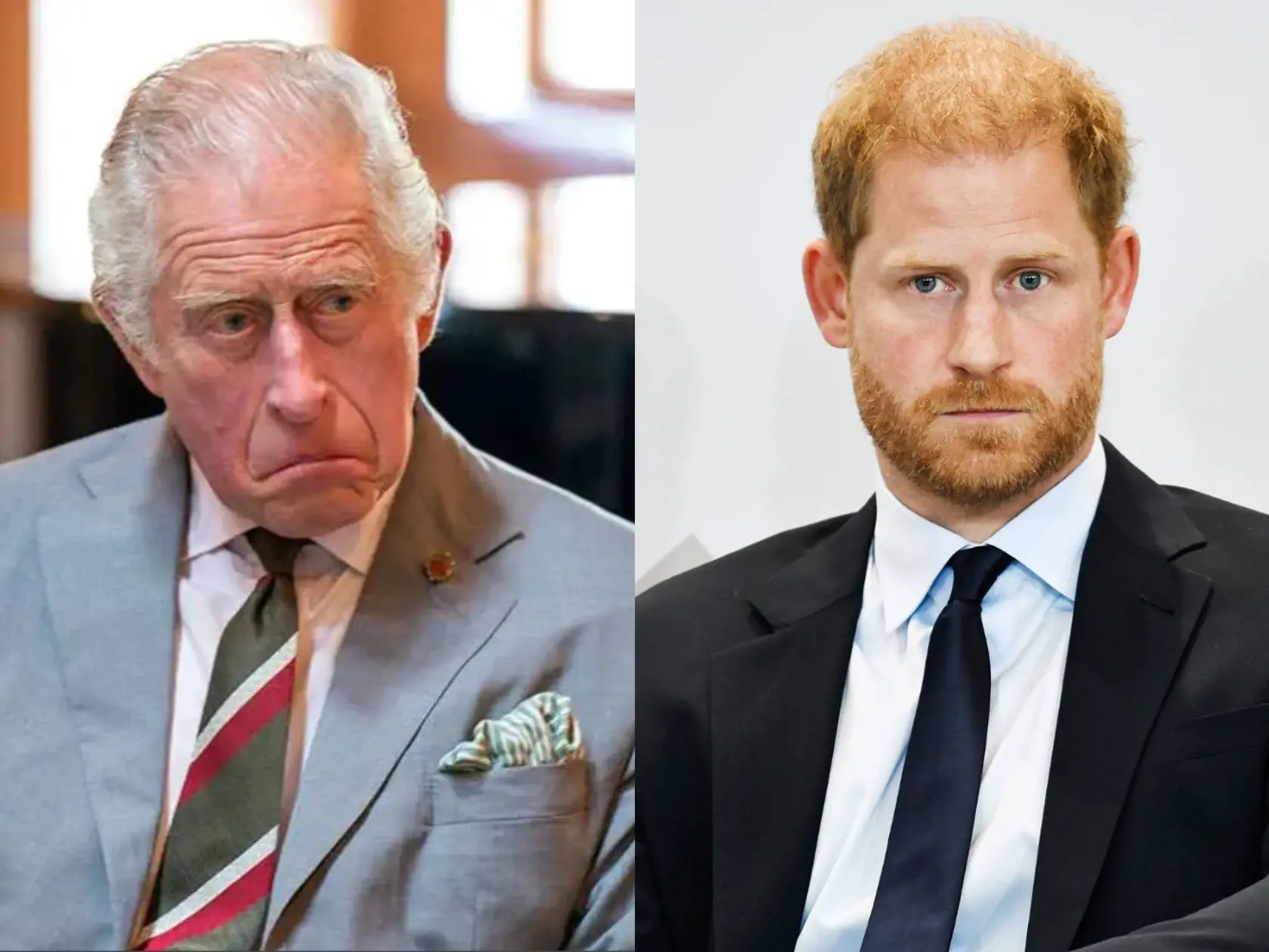 Kráľ Karol a princ Harry