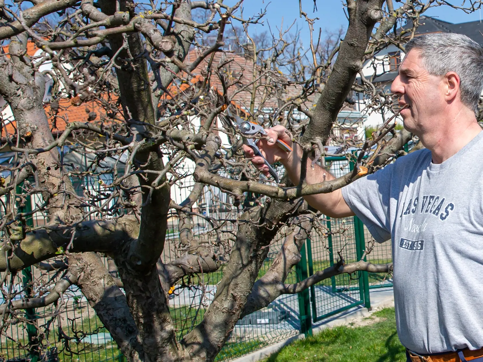 Na snímke je Béla Bugár pri jarných prácach vo svojej záhrade v Šamoríne. 