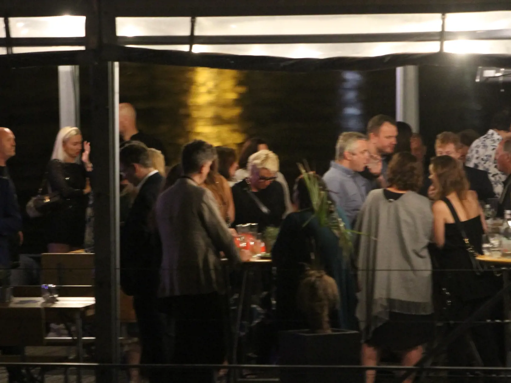Rozlúčková party Matthiasa Setteleho na lodi na nábreží Dunaja. V strede Wanda Hrycová.