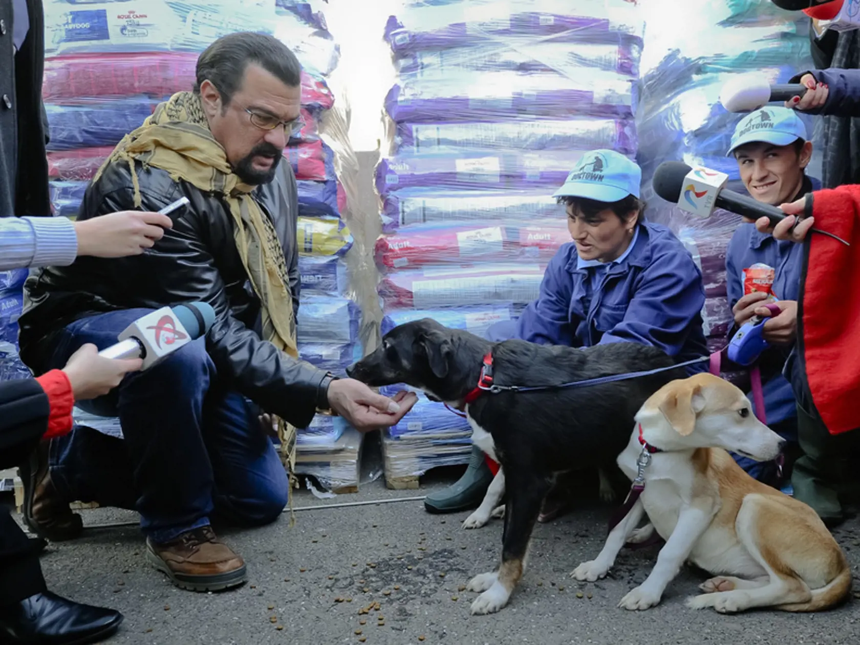 Steven Seagal si adoptoval psíka.