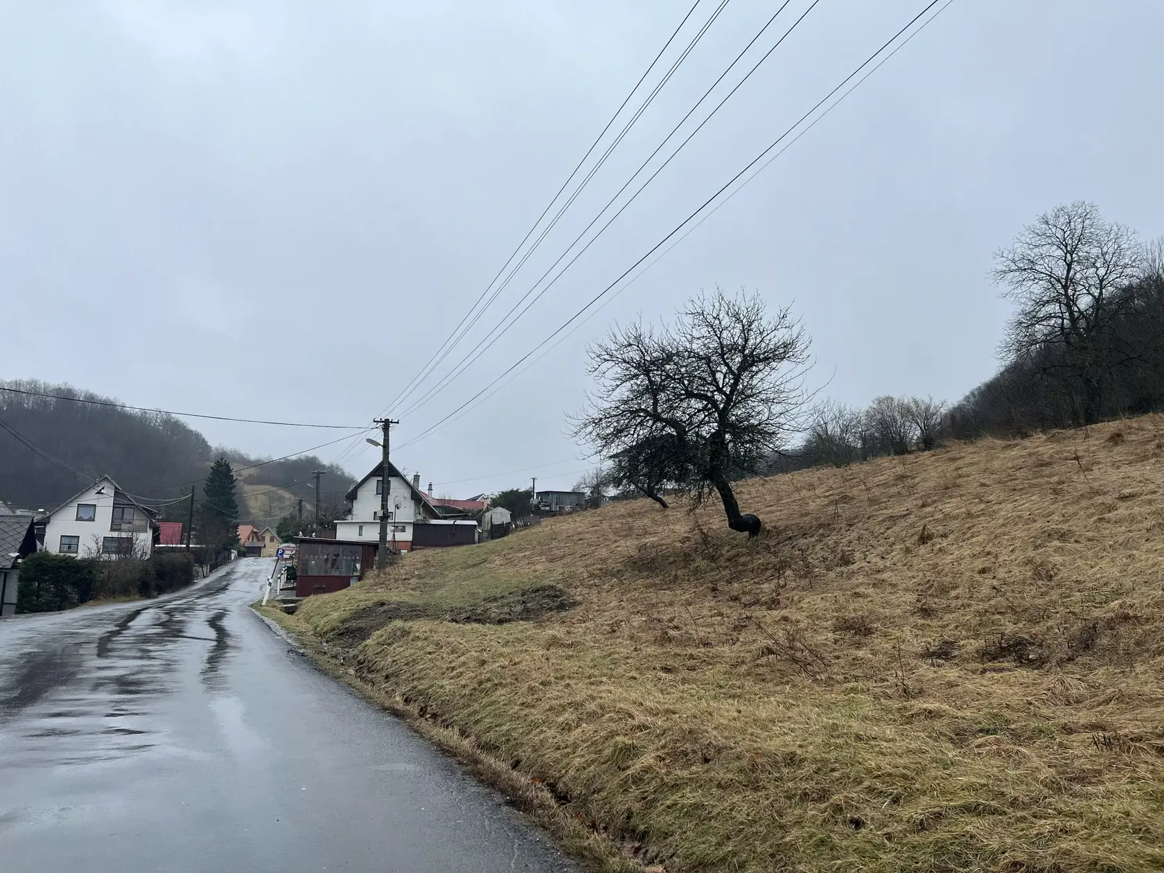 Mestá a obce túto otázku riešia všeobecne záväzným nariadením, ktorým sa zakazuje voľný pohyb psa na verejnom priestranstve a v rámci poľovného revíru sa zas riadia zákonom o poľovníctve, zákonom o lesoch a ostatnými nariadeniami.