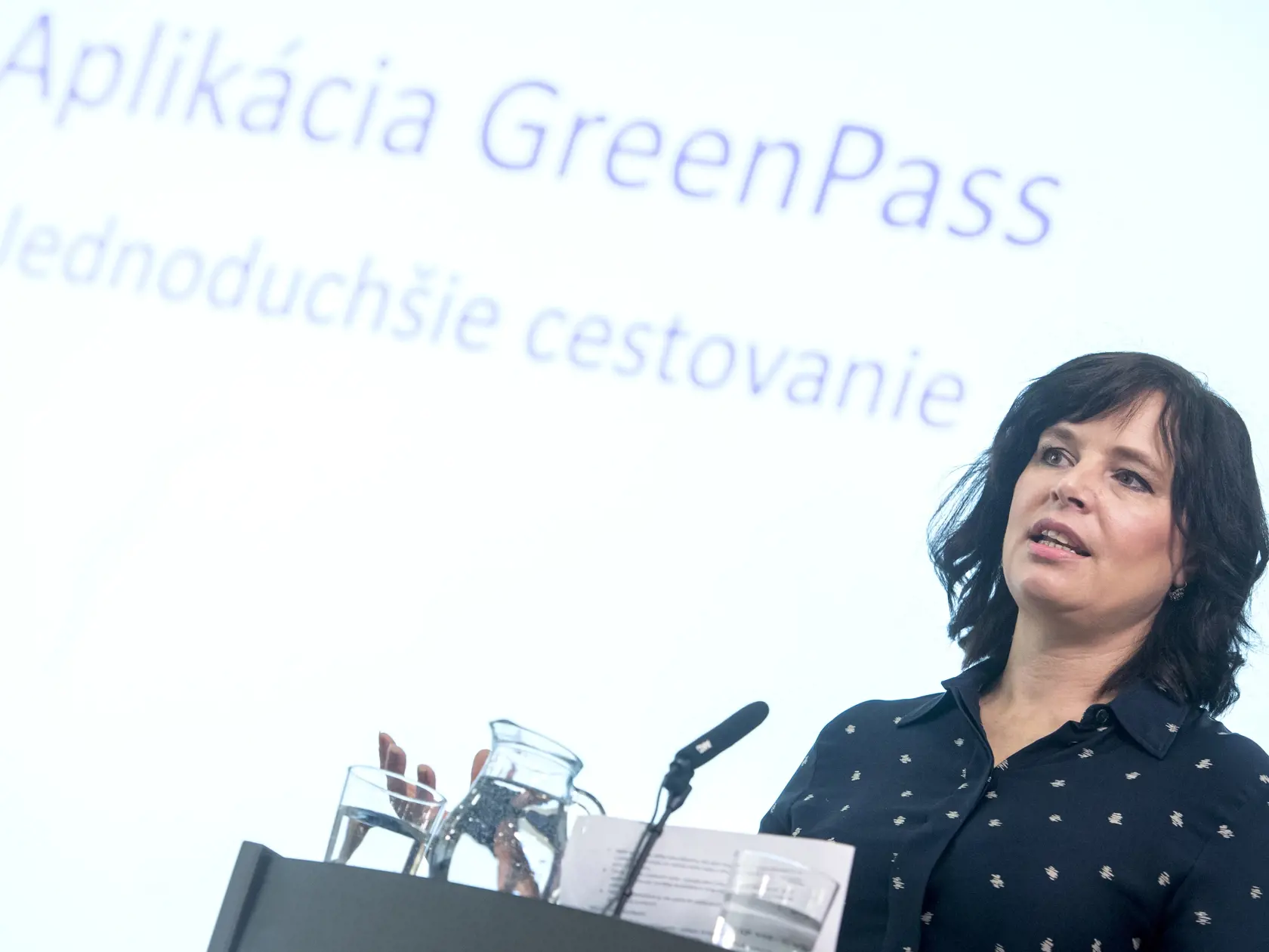 Strana podľa Remišovej využila prvých 100 dní Hegerovej vlády na prípravu zásadných zmien a reforiem.