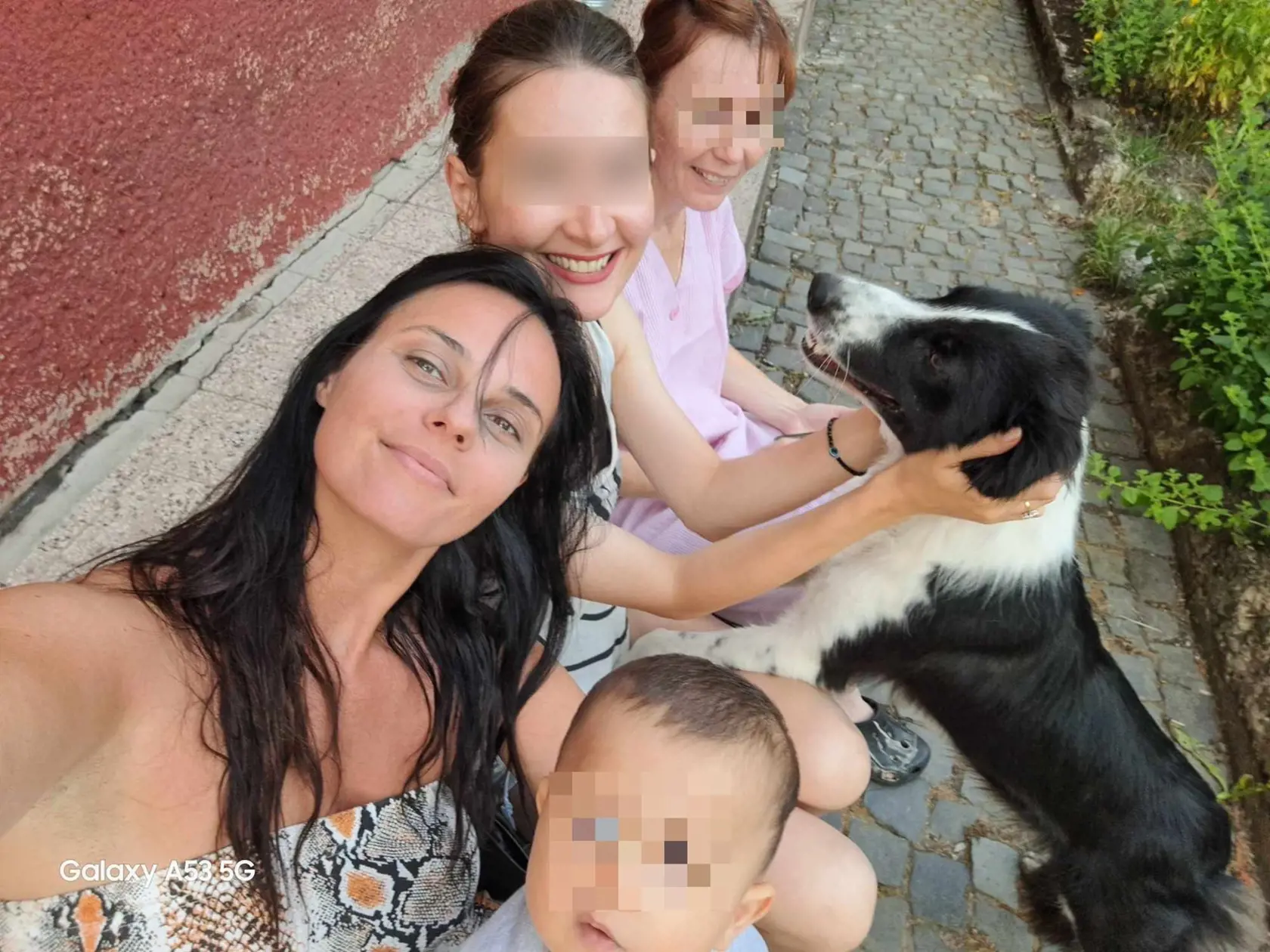 Kedy a či sa rodina do domu dostane, záleží od rozhodnutia súdu.