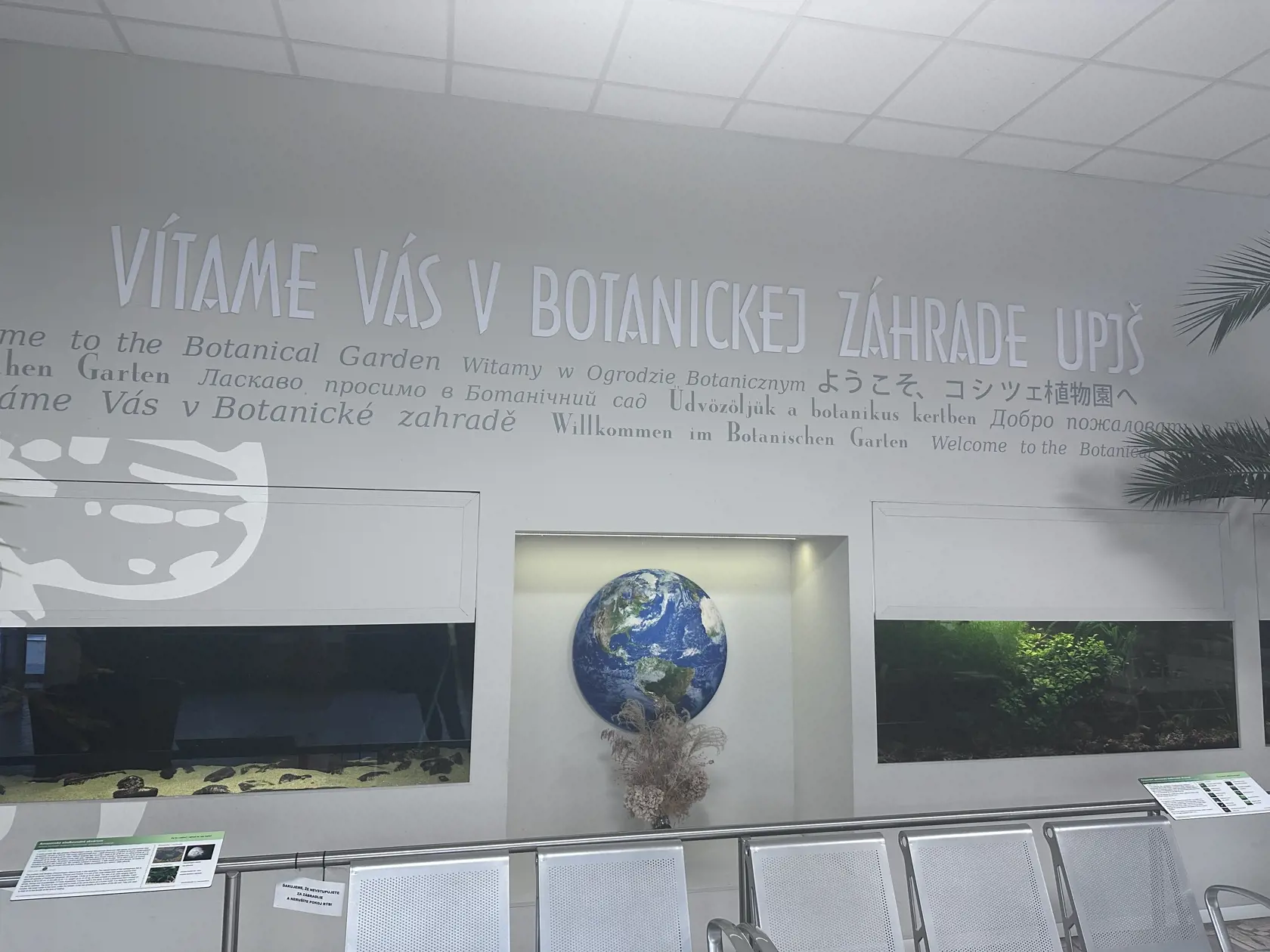 Výstava orchideí v Botanickej záhrade UPJŠ Košice.