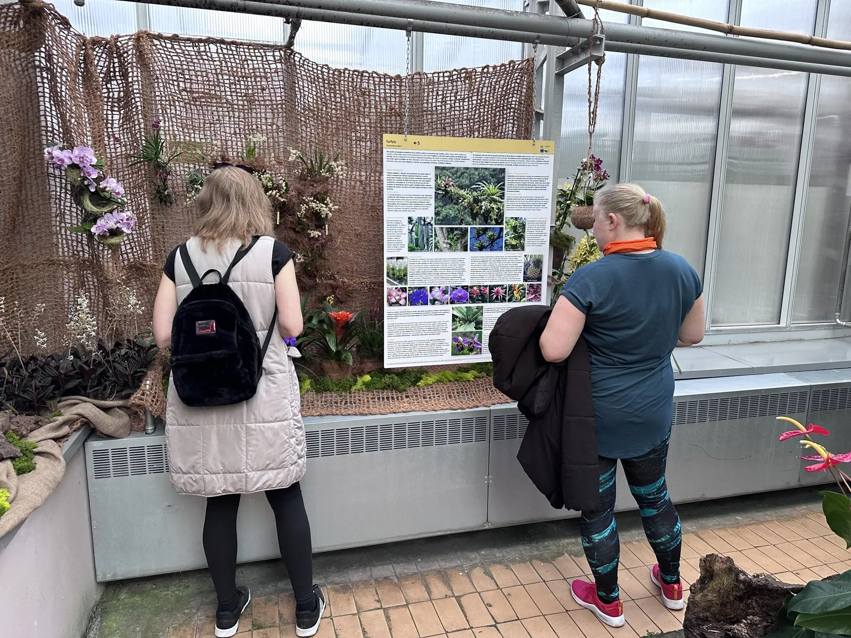Výstava orchideí v Botanickej záhrade UPJŠ Košice.