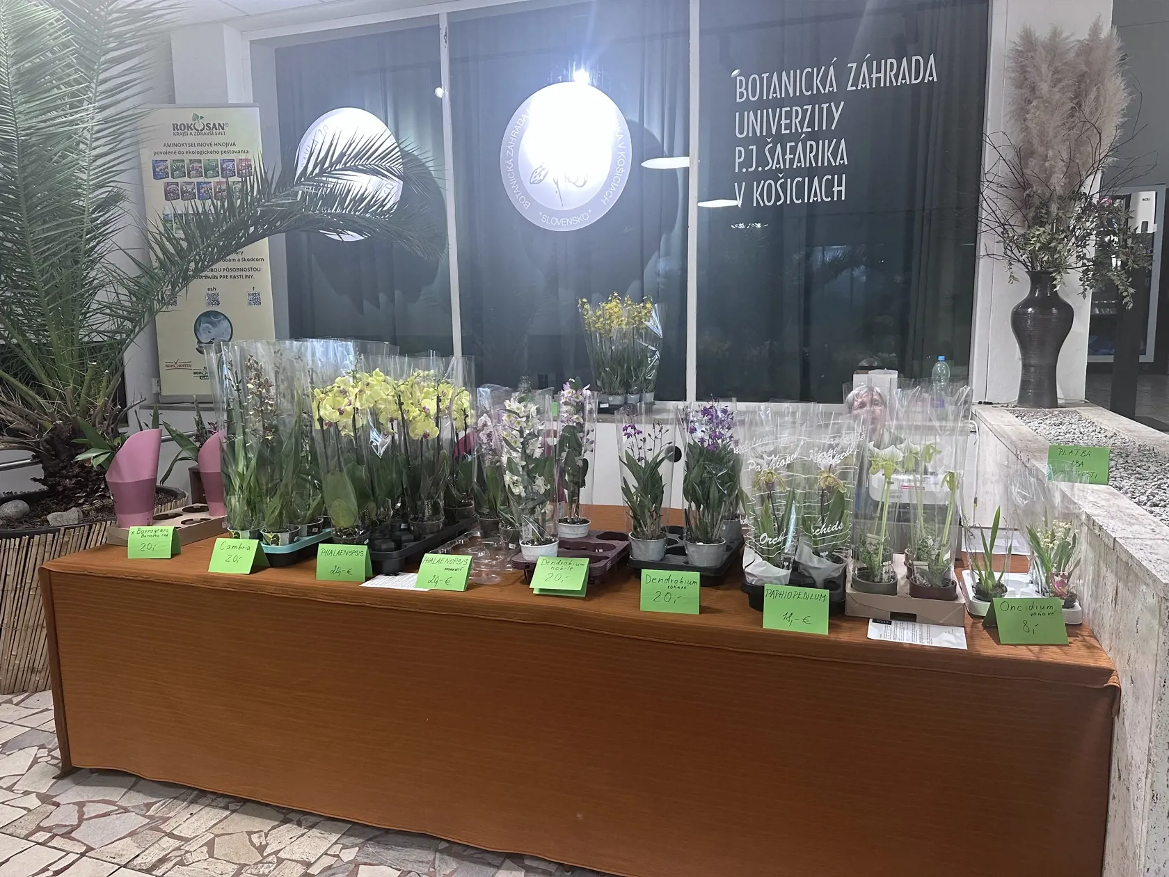 Vo vstupnej hale orchidey aj predávajú.