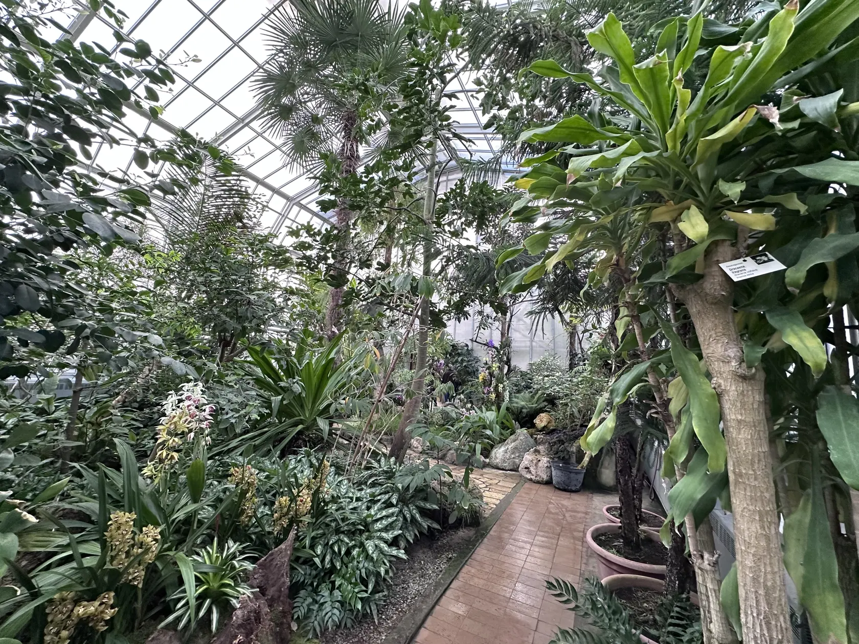 Botanická záhrada v Košiciach.