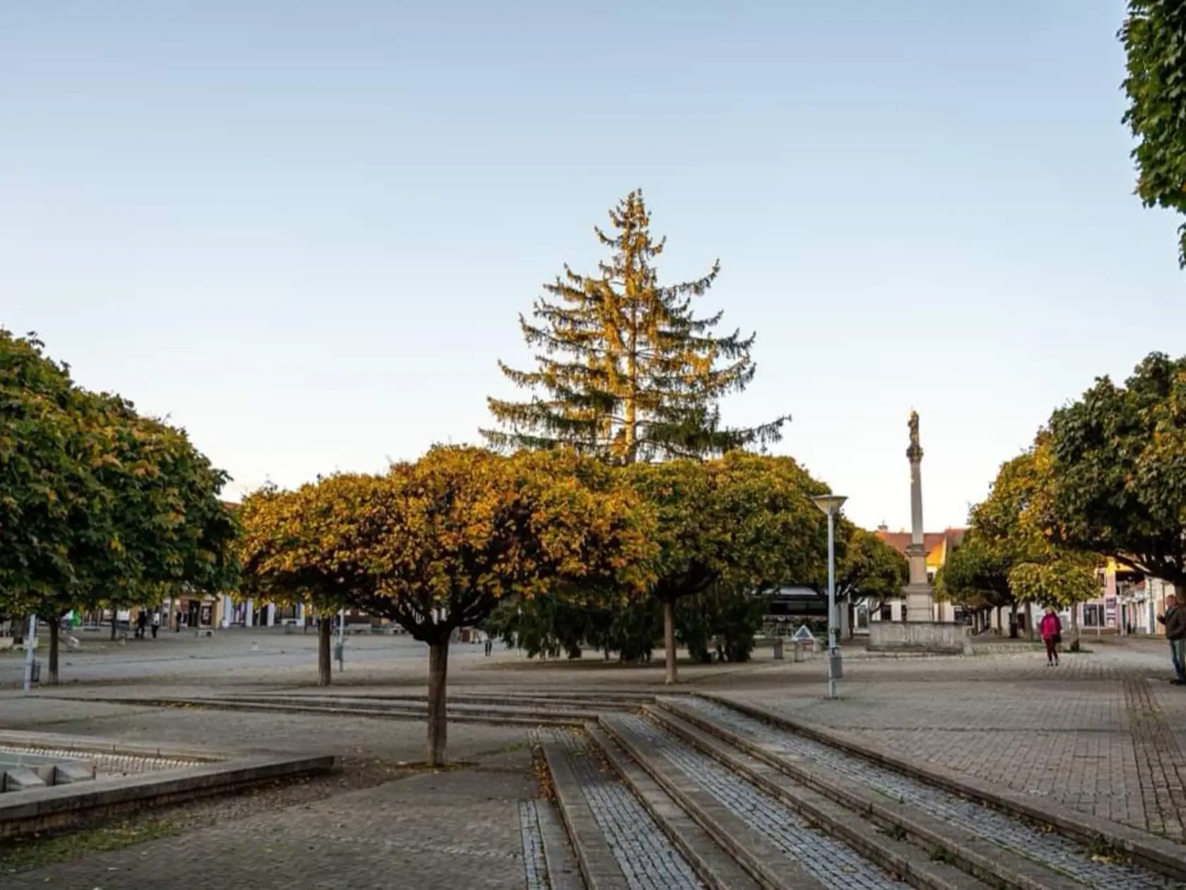 Nové Mesto nad Váhom sa ako jedno z mála miest môže popýšiť živým stromčekom priamo uprostred námestia.