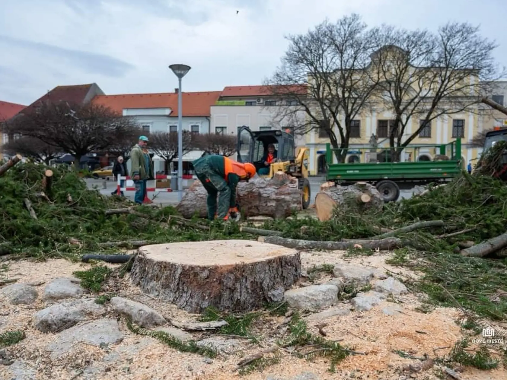 Viacerí Novomešťania výrub stromu oplakali.
