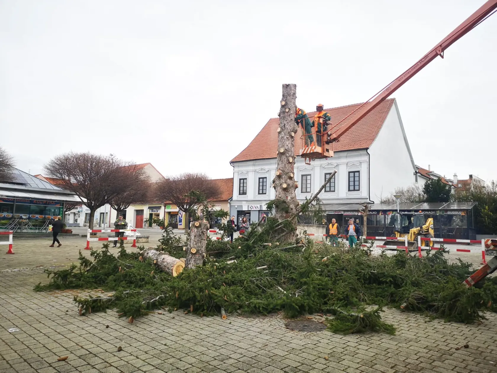 Nové Mesto bolo jedno z mála miest na Slovensku, ktoré sa mohlo pýšiť živým vianočným stromom.