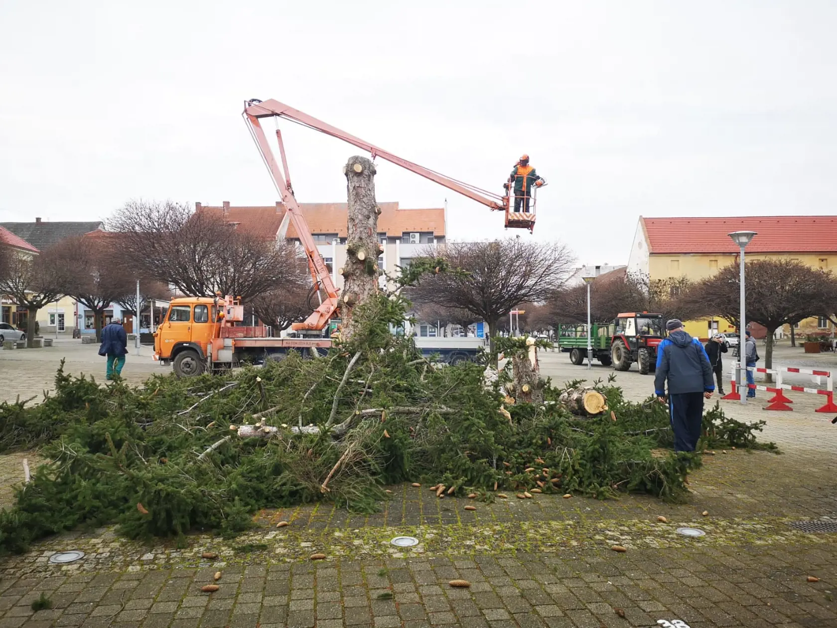 Už na Vianoce by chcelo mesto ozdobiť nový živý strom.