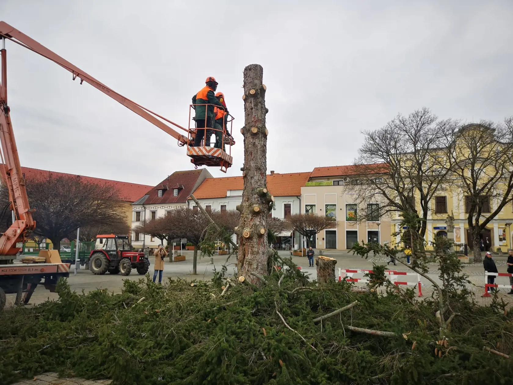 V zime slúžil ako vianočný strom.