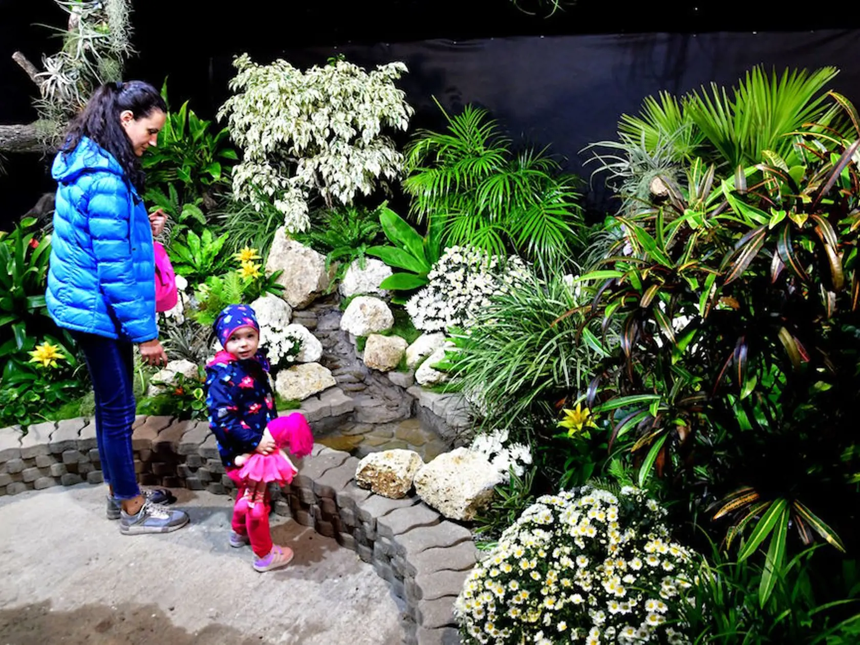 V košickej botanickej záhrade otvorili navšednú výstavu magických svetielkujúcich rastlín. 