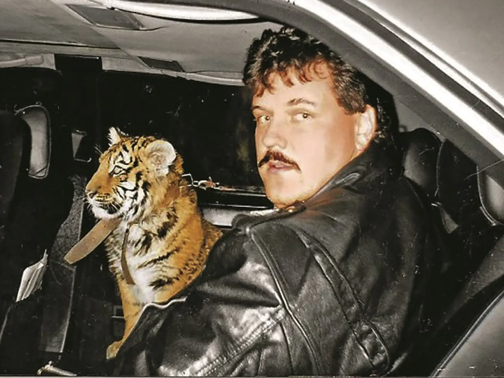 Jeho veľká vášeň: Černák choval tigre. Cez ich klietku utekal pred políciou.