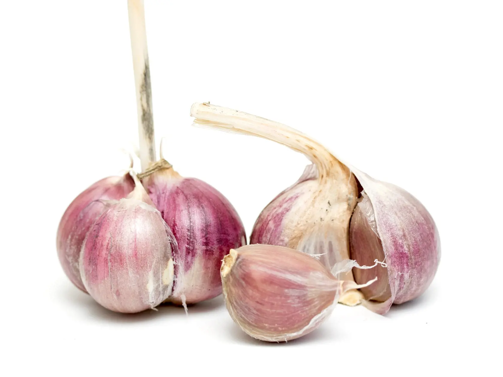 cesnak