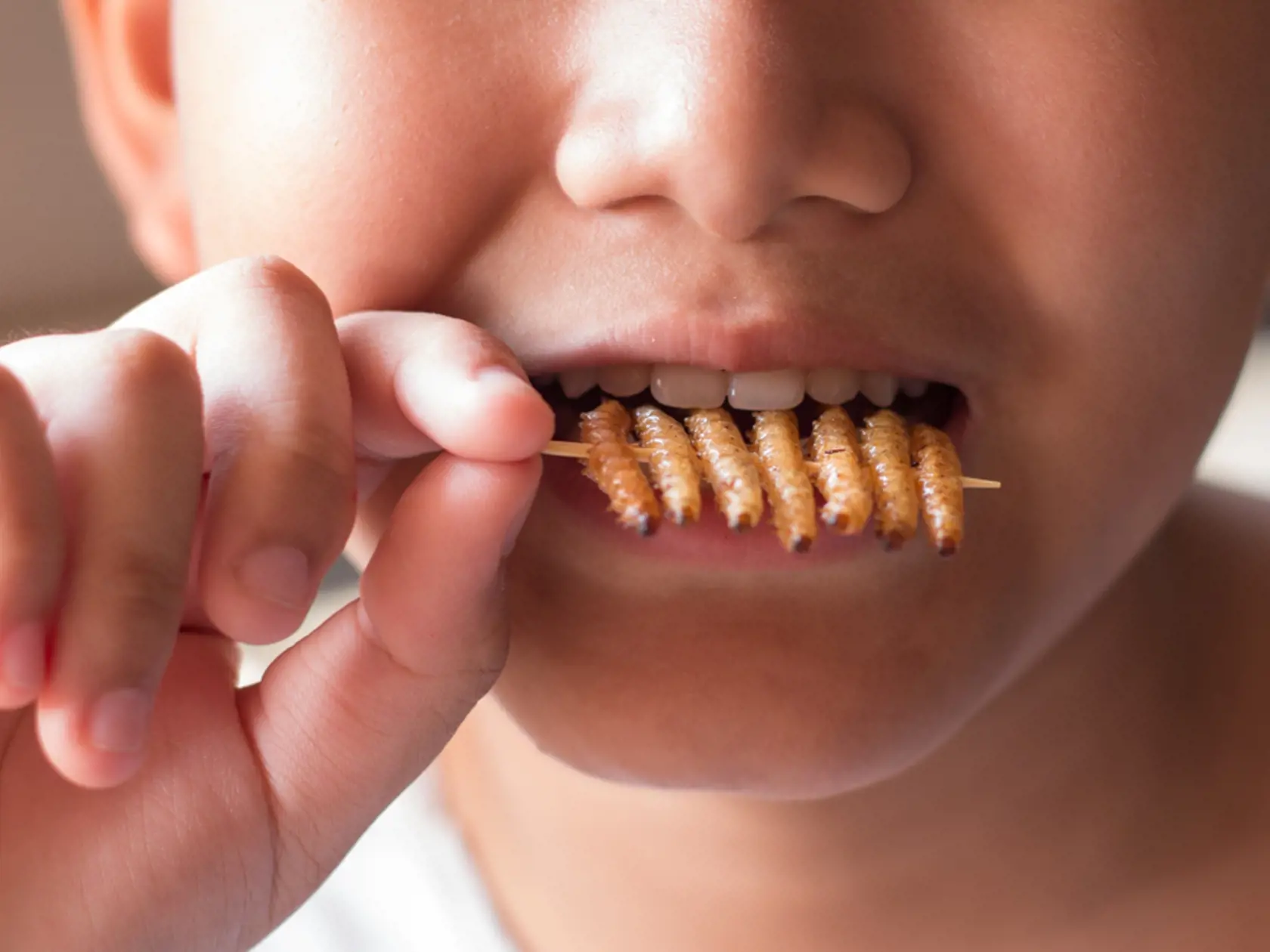 Children,Eating,Bamboo,Edible,Worm,Insects,Crispy,In,The,Skewer.