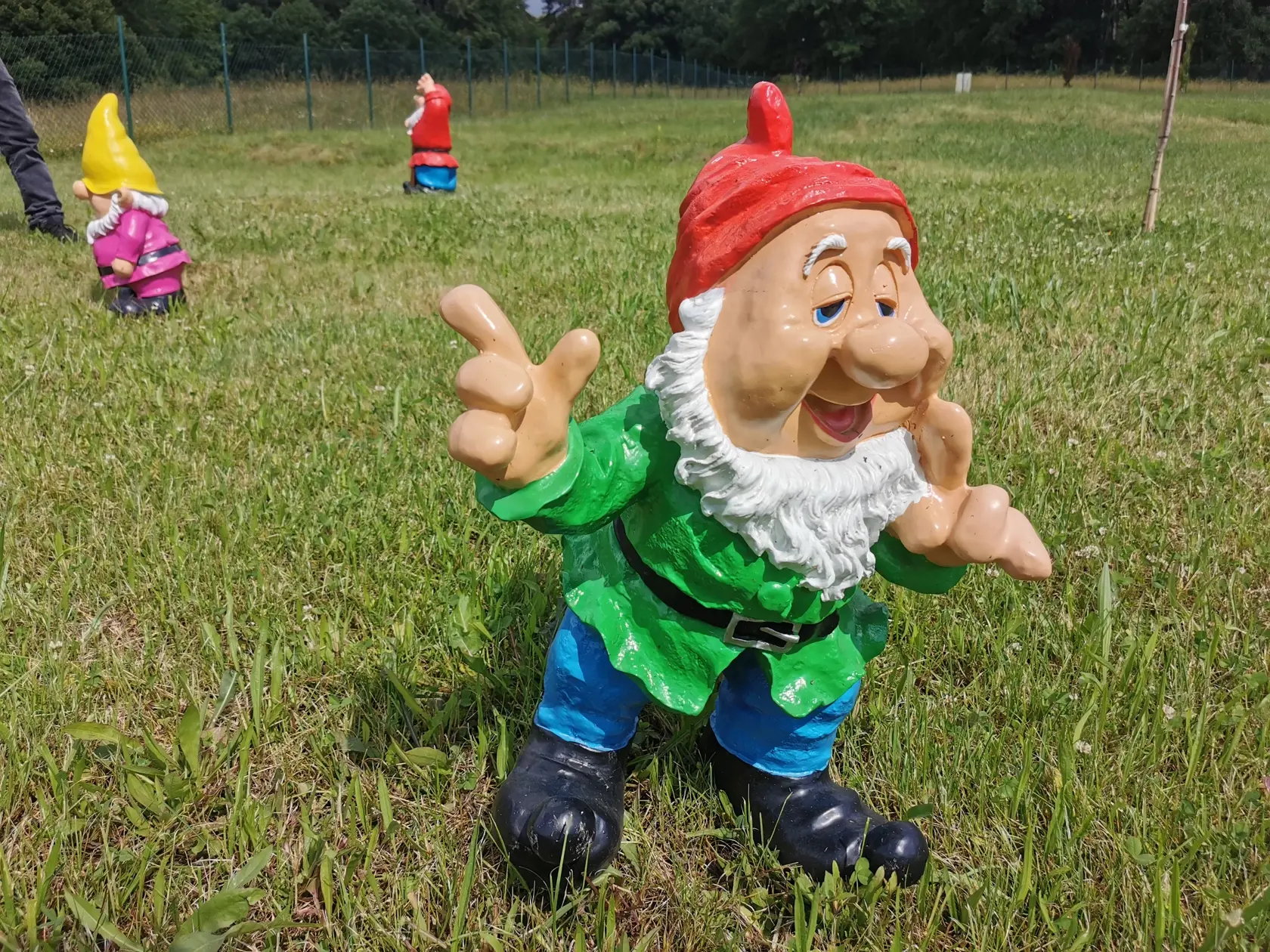 Niektoré sú veľké, iné miniatúrne.