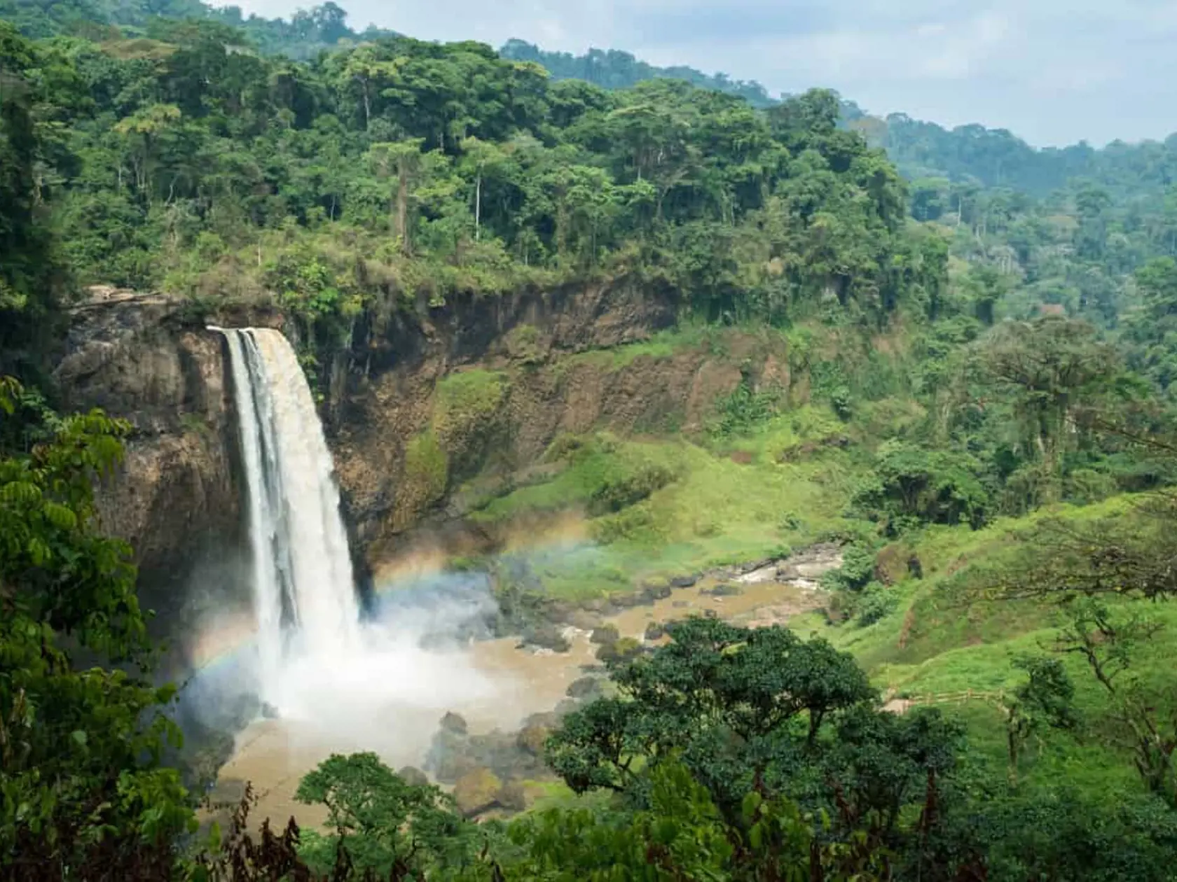1. Kamerun