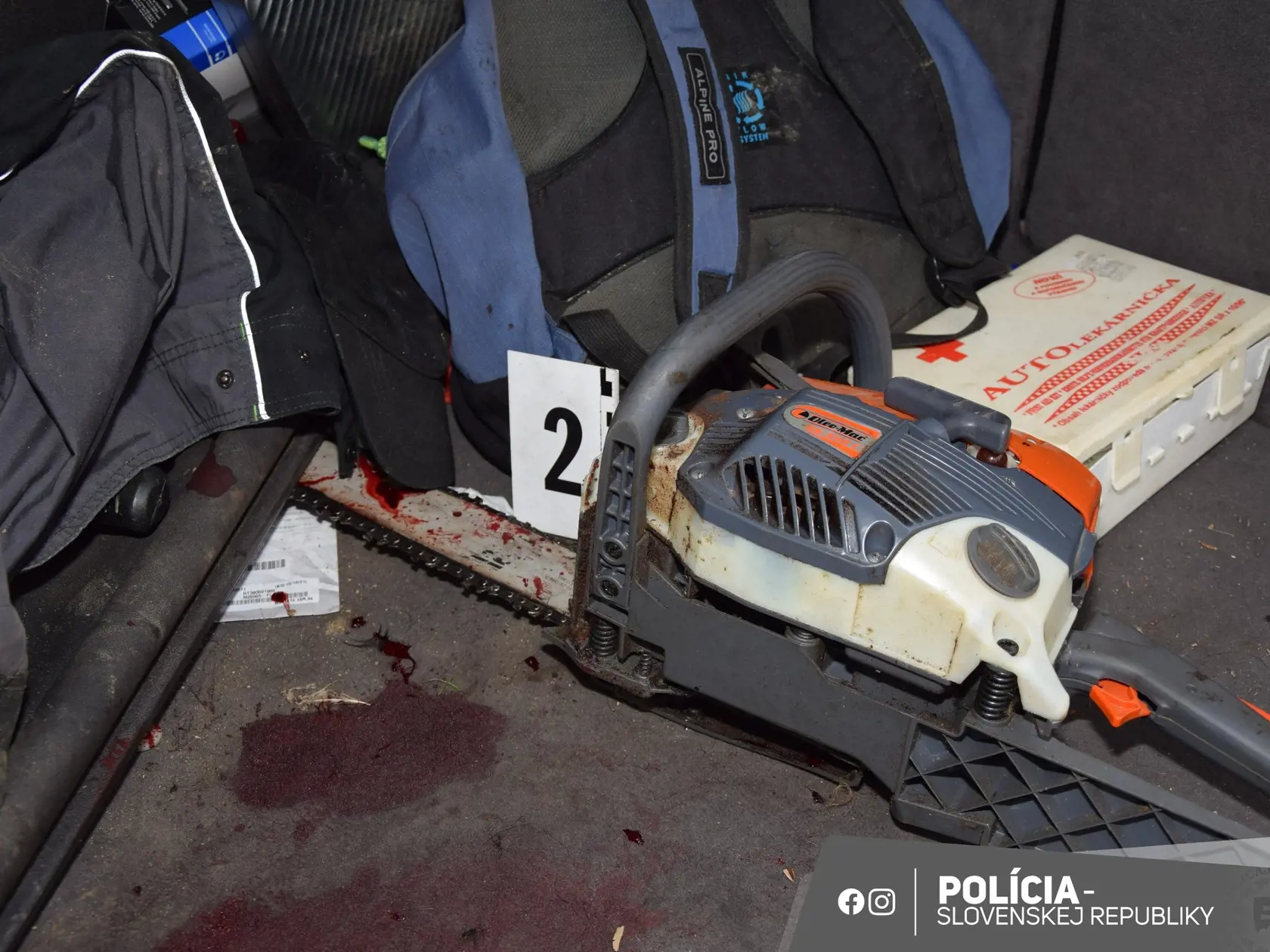 Enviropolicajti obvinili Bratislavčana, svojho psa zabil tesárskym kladivom