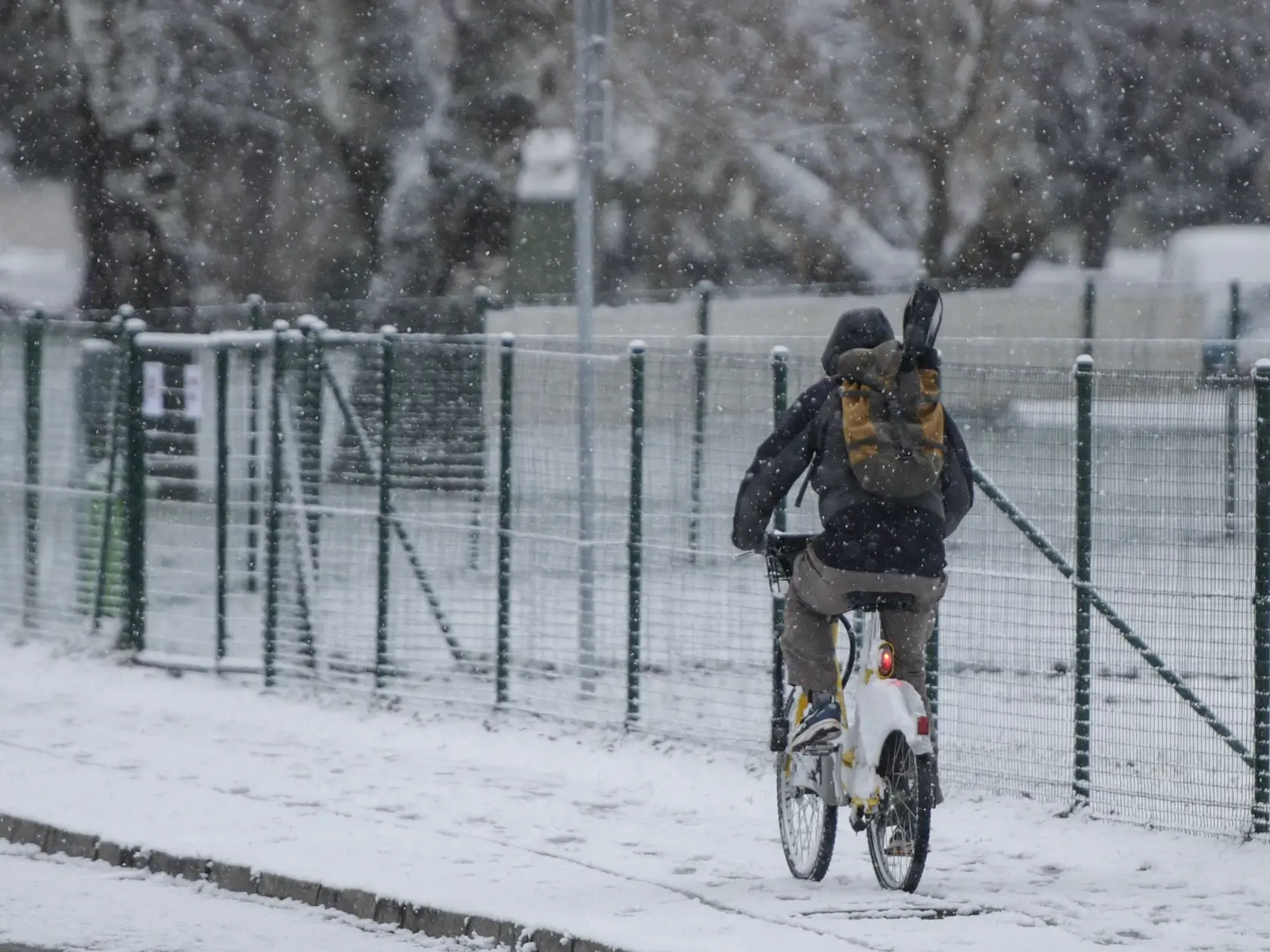 Na snímke cyklista počas sneženia pri Štrkoveckom jazere 22. januára 2023 v Bratislave. FOTO TASR - Pavol Zachar