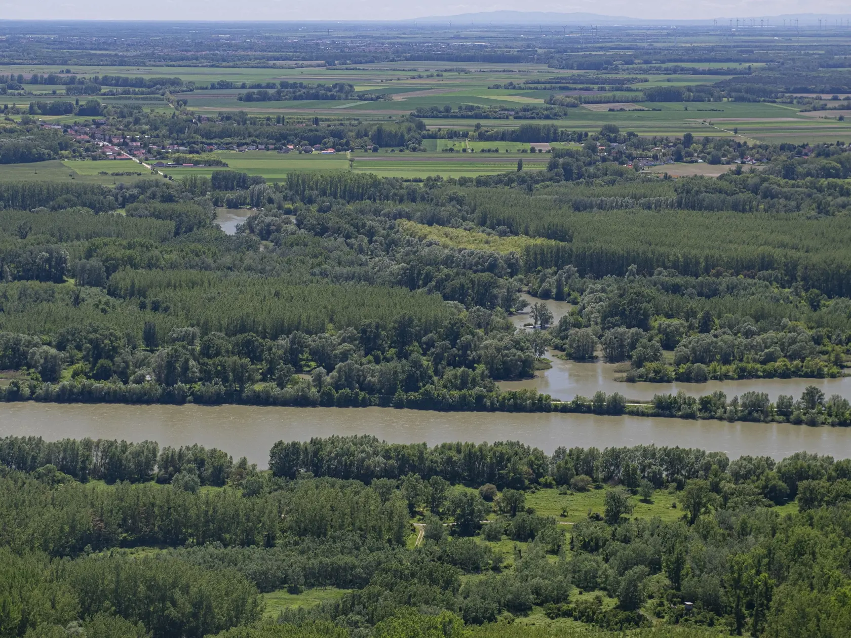 Na snímke z vrtuľníka pohľad na rozvodnené ramená Dunaja. Na toku rieky sa uskutočňujú simulované a kontrolované záplavy, 26. mája 2021. FOTO TASR - Michal Svítok