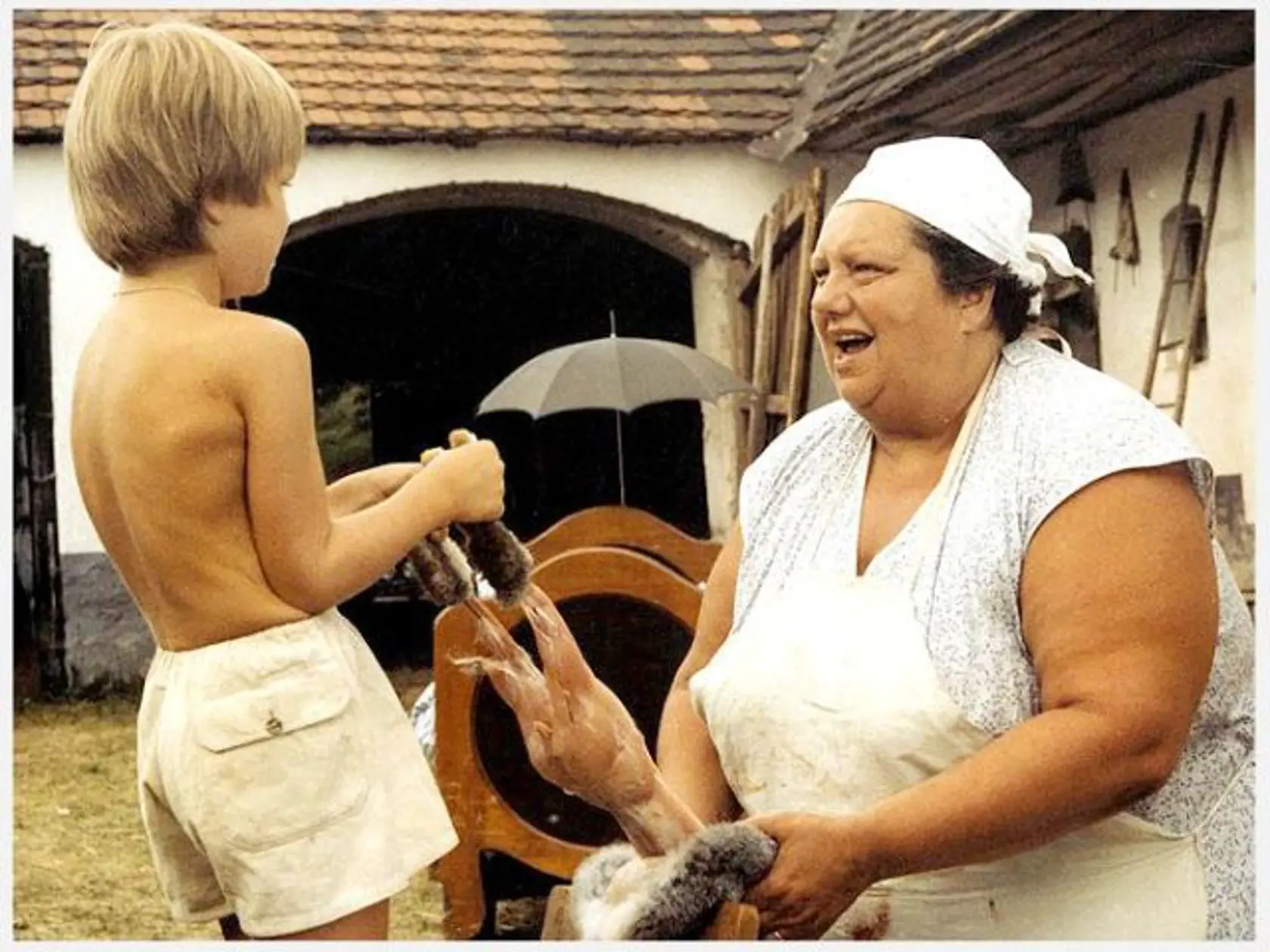 Zdeněk Troška