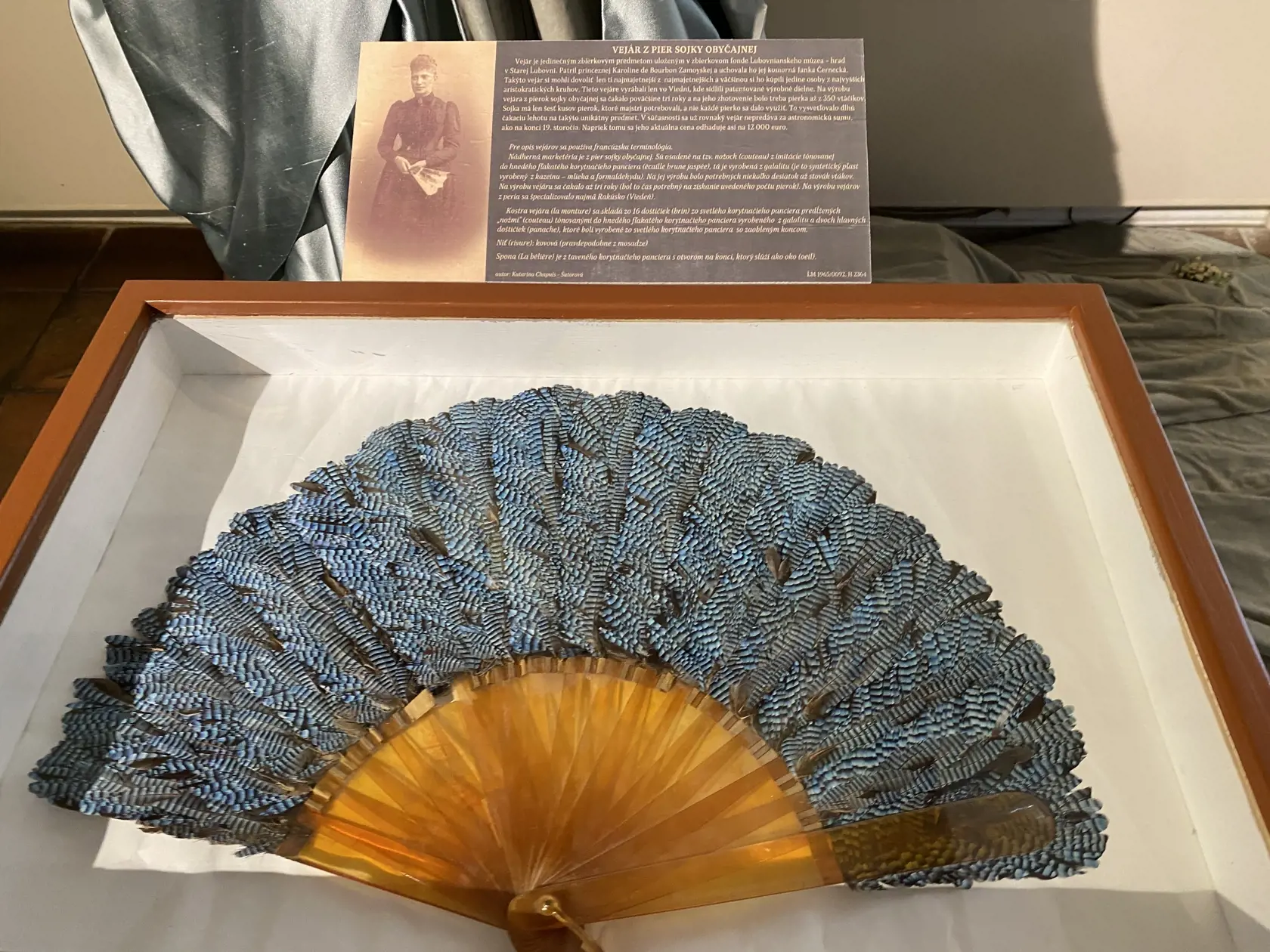 Vejár z pier sojky obyčajnej patril princeznej Karolíne de Bourbon Zamoyskej a uchovala ho jej komorná Janka Čarnecká. Takýto vejár si mohli dovoliť len tí najmajetnejší,.jeho cena bola vtedy astronomická. Vyrábali ich vo Viedni a čakalo sa naň tri roky, lebo na jeho zhotovenie potrebovali pierka až z 350 vtáčikov, lebo sojka má len šesť kusov pierok. V súčasnosti sa cena vejára odhaduje na 12-tisíc eur.
