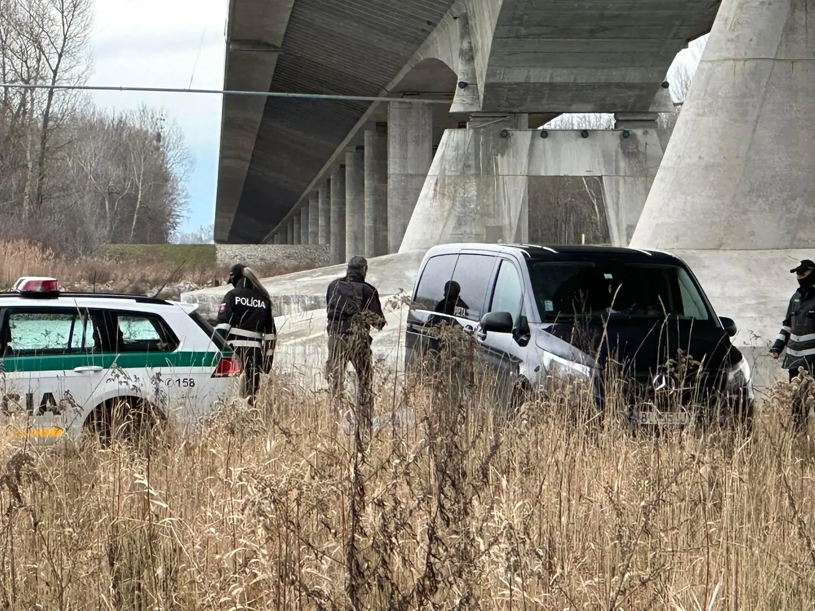 Telo nezvestnej 18-ročnej Terezky bolo nájdené pod mostom pri Dunaji ráno 1. februára 2023. Na snímke polícia a pohrebná služba nakladá jej telo do auta.