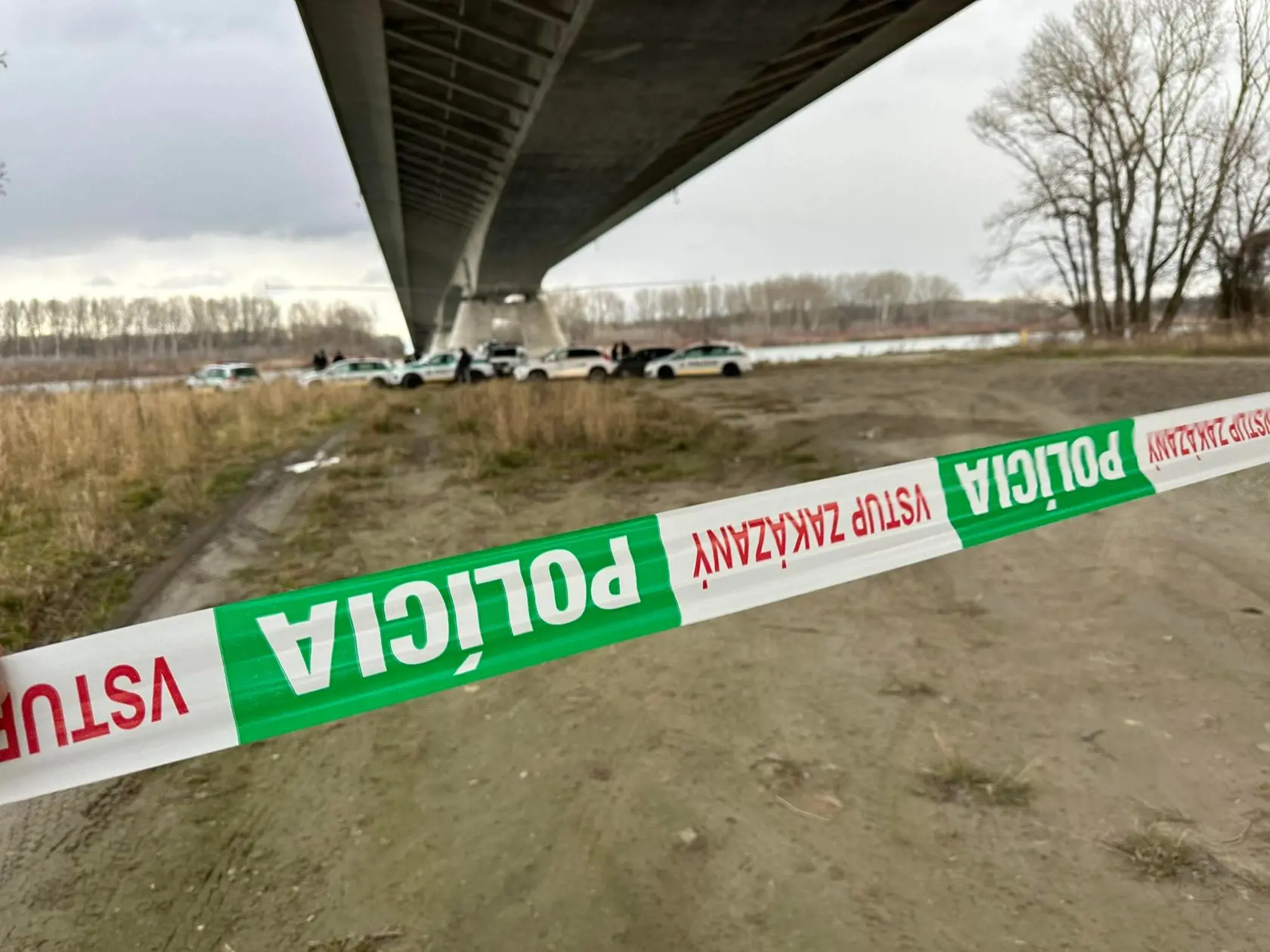 Telo nezvestnej 18-ročnej Terezky bolo nájdené pod mostom pri Dunaji ráno 1. februára 2023.