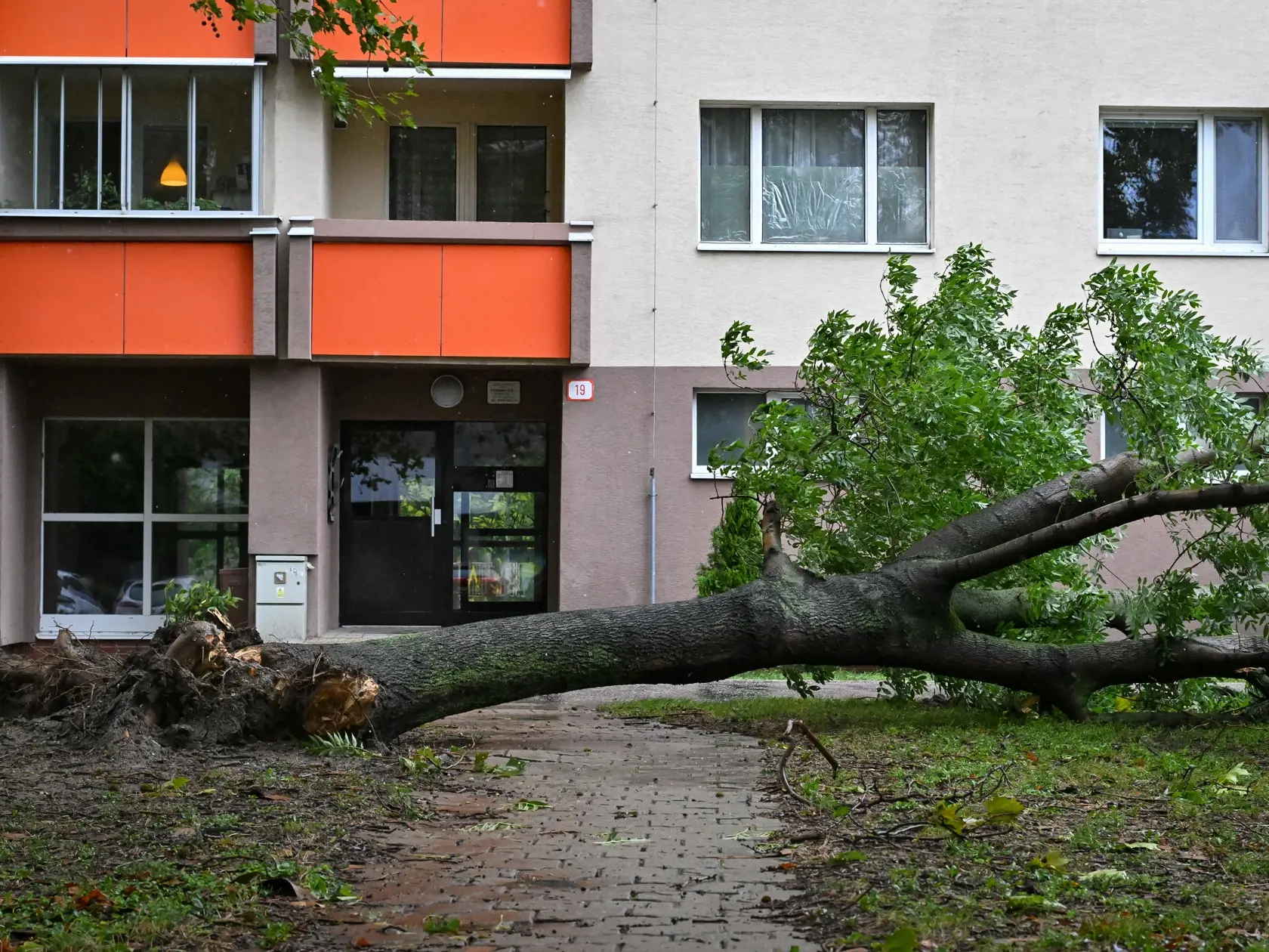 Na snímke spadnutý strom na Jašíkovej ulici v bratislavskej mestskej časti Ružinov. Portál imeteo varuje, že podmáčaná zem môže pri silnom vetri opäť spôsoby pády stromov.