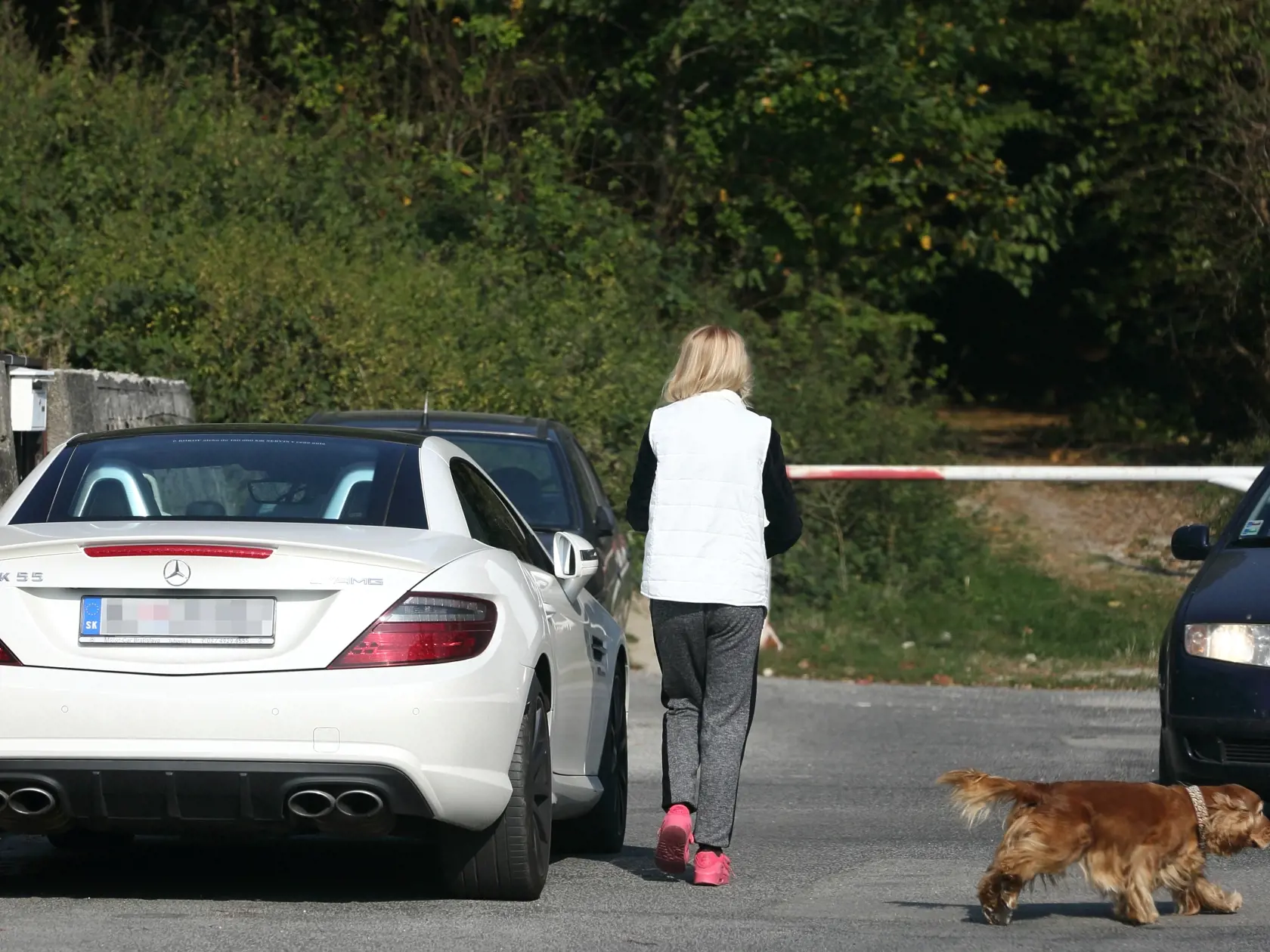 Na snímke paparazzi Karolína Kočnerová, manželka Mariána Kočnera ako venčí psa na Kolibe.