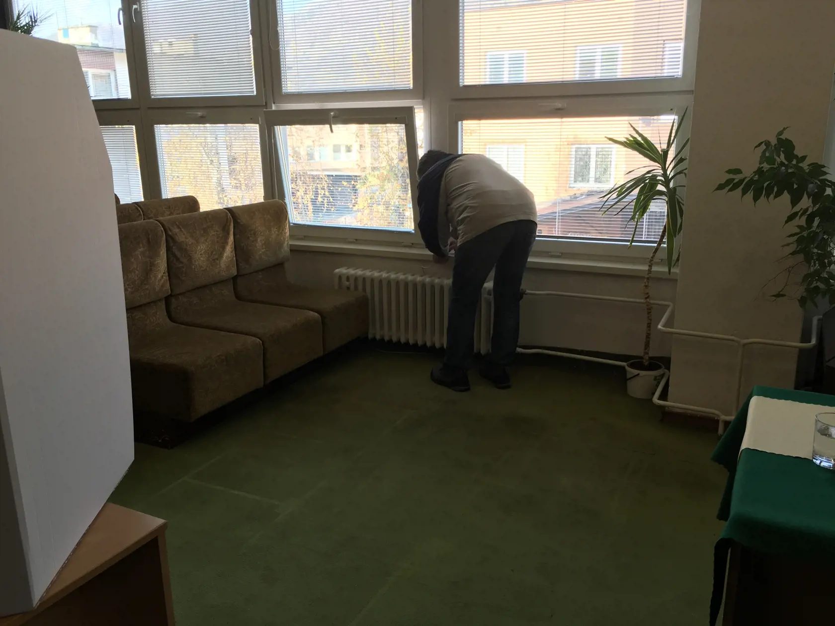Jeden z obyvateľov Terchovej odvolil na okennej parapete.