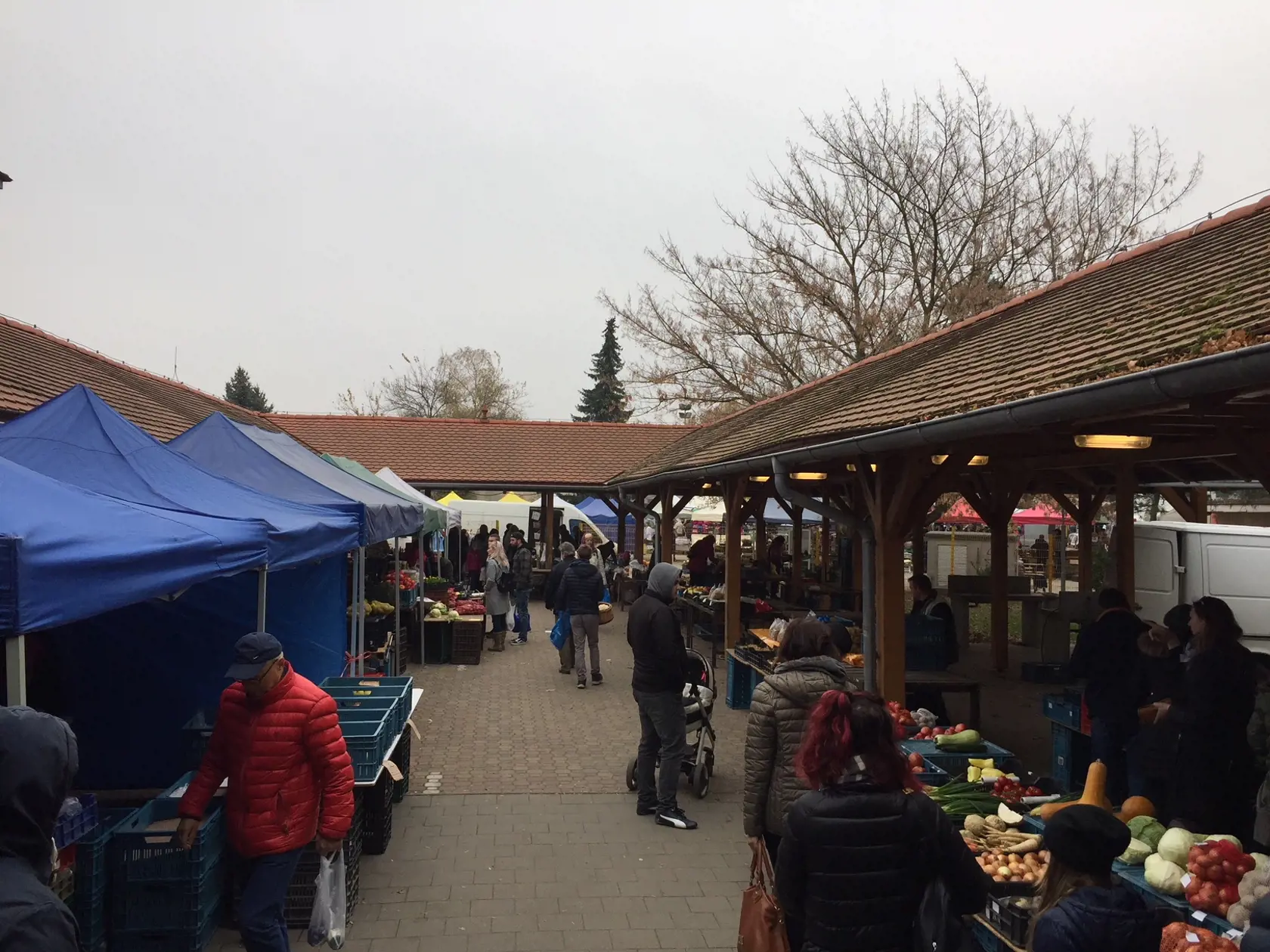 Stupavčania si stihli okrem volieb aj nakúpiť na Martinskom jarmoku.