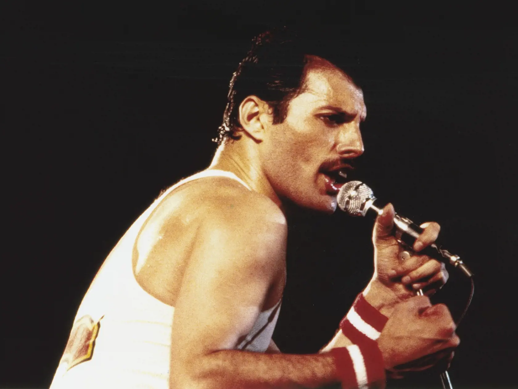 1982: Freddie Mercury (1946 - 1991)