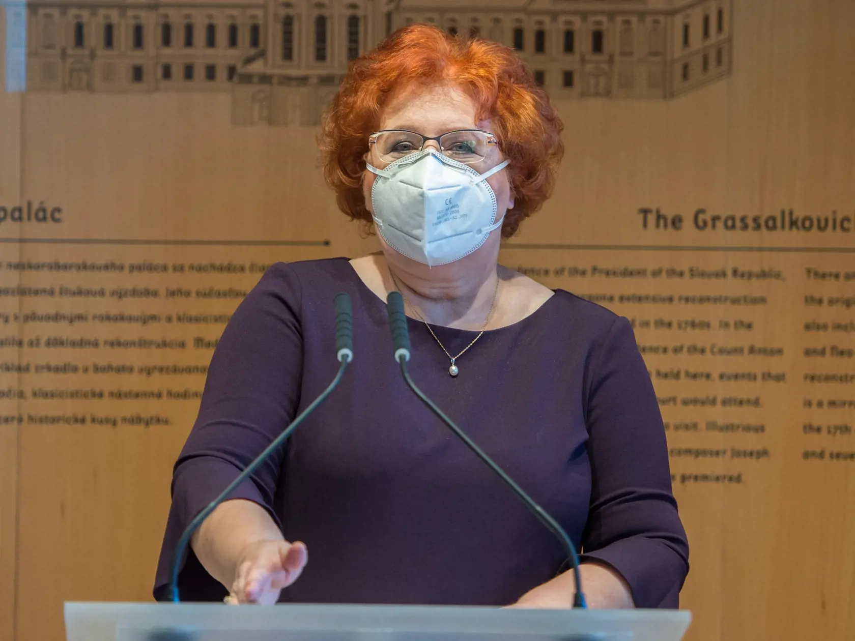 Na snímke generálna riaditeľka sekcie sociálnej štatistiky a demografie Štatistického úradu SR Ľudmila Ivančíková počas tlačovej konferencie 15. februára 2021 v Bratislave. FOTO TASR - Martin Baumann
