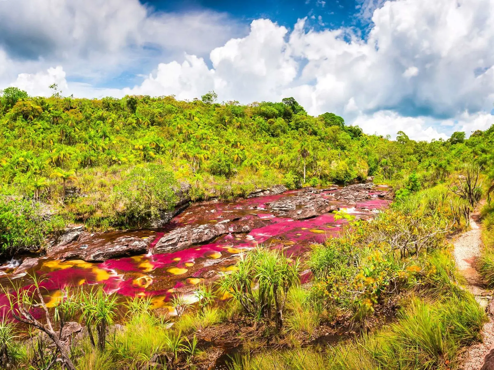 Caño Cristales, Kolumbia.