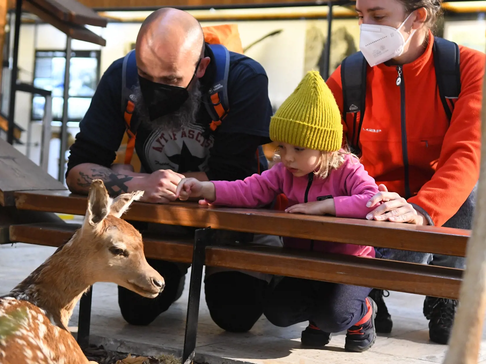 Múzeum TANAP-u pri Štátnych lesoch (ŠL) TANAP-u v Tatranskej Lomnici približuje návštevníkom Tatry z pohľadu geológie, fauny a flóry, počiatkov turizmu, horskej služby, etnografie a ďalších súvislostí s daným územím. Na snímke návštevníci pri prehliadke múzea. Tatranská Lomnica, 18. mája 2021. FOTO TASR -  Milan Kapusta  