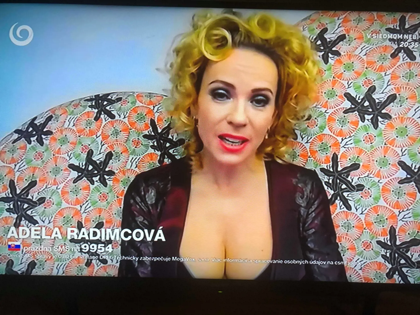 Diana Mórová cez Skype.