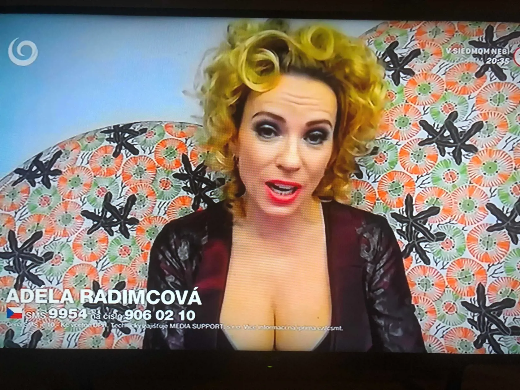 Diana Mórová cez Skype.